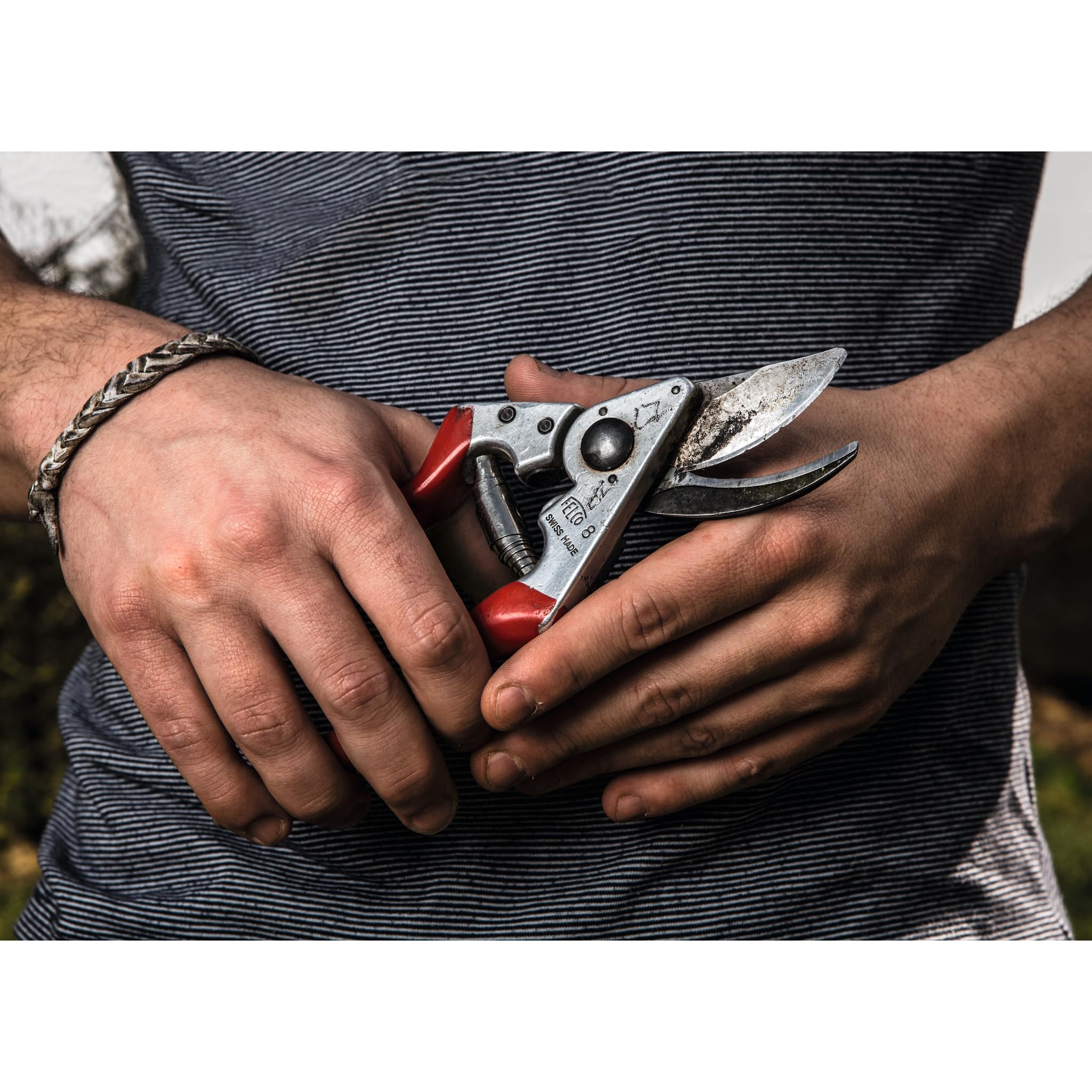FELCO Kit sécateur FELCO 8 et scie pliante 601, outils essentiels pour un jardinage précis et une coupe de vigne