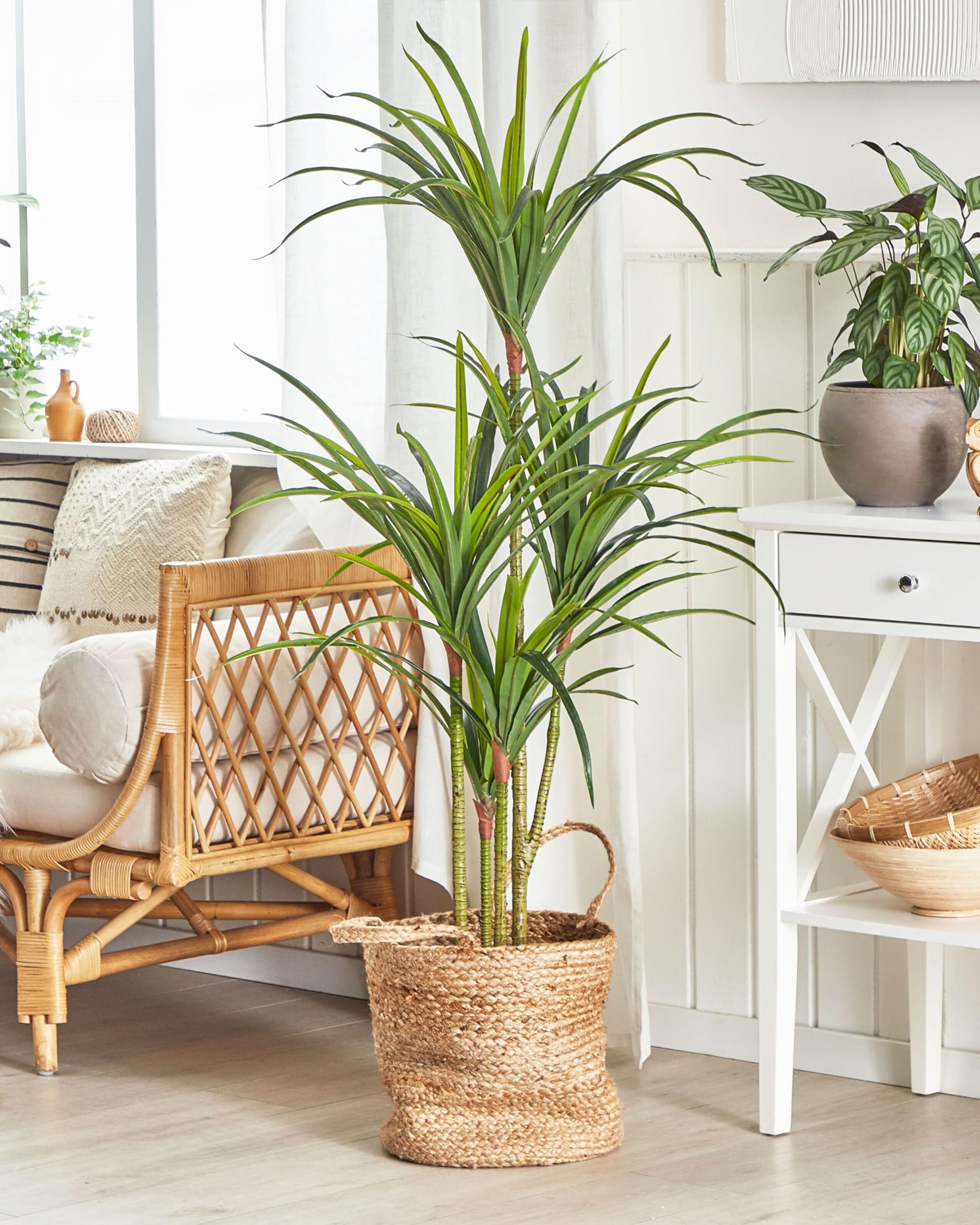Beliani Dekorative Kunstpflanze in Drachenbaum-Form mit Topf 147 cm grün Dracaena Anita