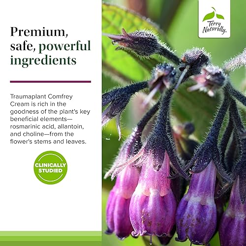 Miniatura 5 de Terry Naturally Crema de consuelda Traumaplant - 3.53 oz (100 g) - Botánica tópica sin manchas, libre de alcaloides de pirrolizidina tóxicos (PAs) y