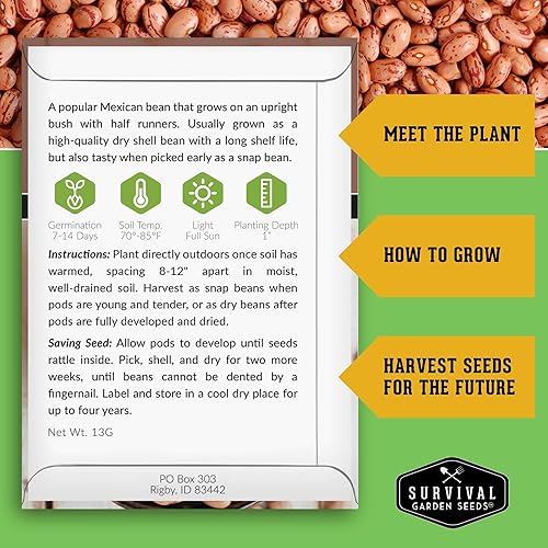 Miniatura 2 de Semillas de frijol pinto para plantar, 1 paquete con instrucciones para cultivar frijoles moteadosperuanos en el huerto casero, reliquia de