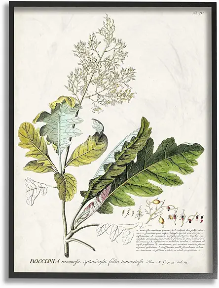 Stupell Industries Botanical Plant Illustration Leaves Vintage Design...