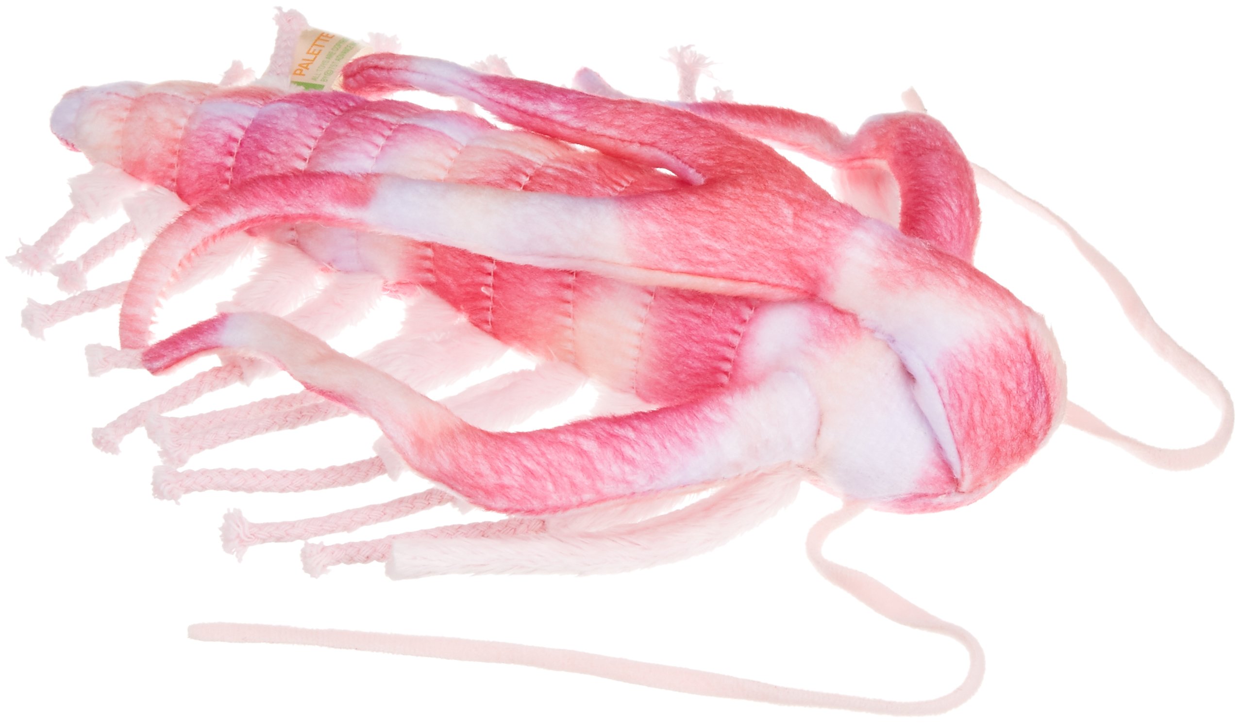 Amazon.co.jp: 古代生物シリーズ マルレラ ぬいぐるみ 6230