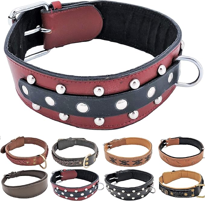Fdc dog collar Clearance