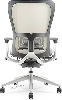 Amazon.com: Renewed Zody Chair - Adjustable Seat Height