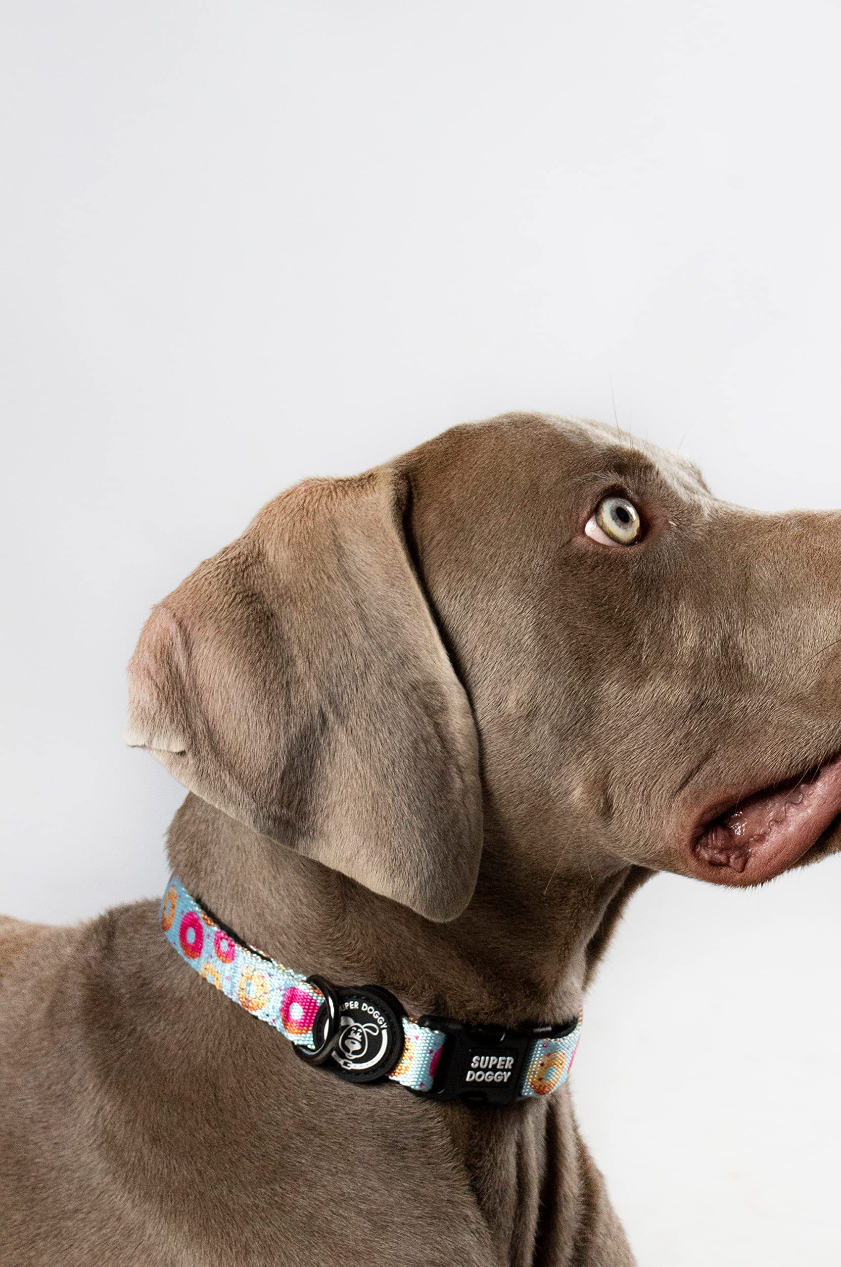 Hundehalsband Aus Nylon, Verstellbar – Für Kleine & Mittlere Hunde, In Verschiedenen Farben, Mit D-Ring, Robust & Bequem