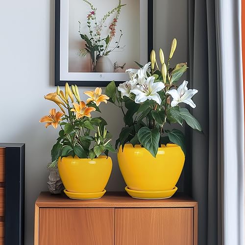 Miniatura 4 de Juego de 3 macetas de cerámica modernas redondas de 10+8+6 pulgadas con agujeros de drenaje y bandejas para plantas de interior y exterior,