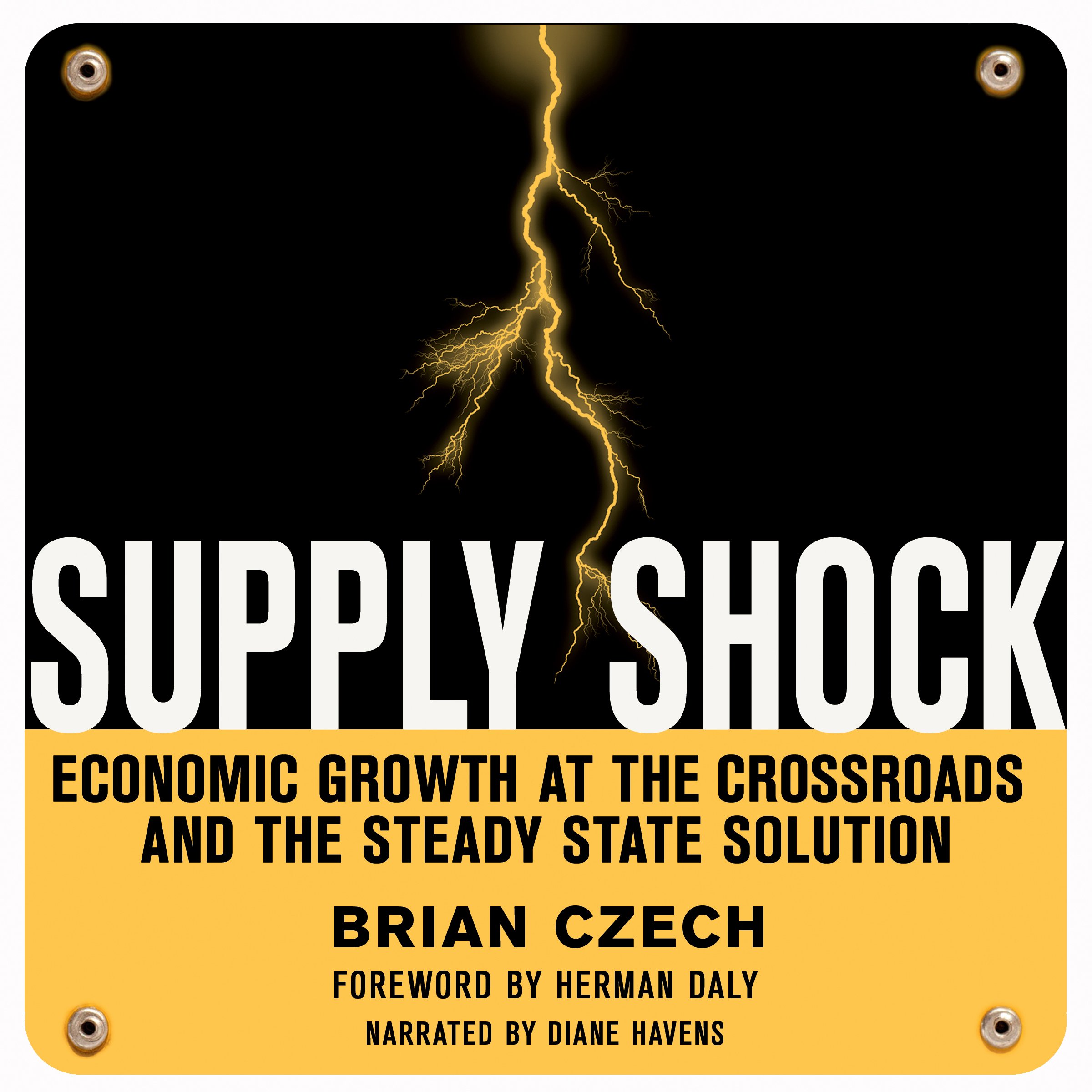 Cover art for Supply Shock