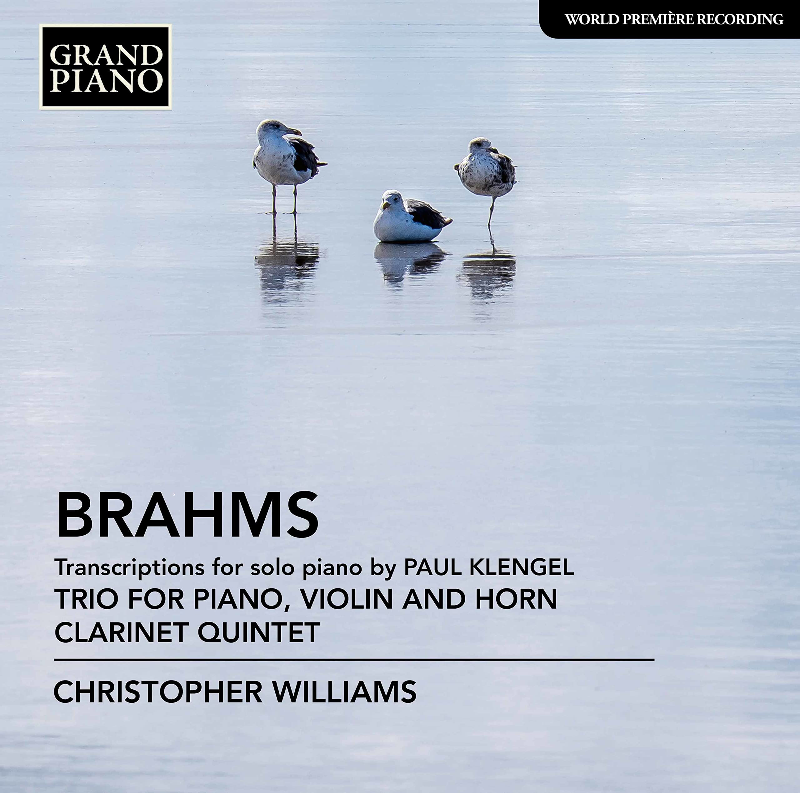 Johannes Brahms: Transcriptions for Solo Piano by Paul Klengel, Trio for Violin, Horn and Piano, Op. 40, Clarinet Quinte