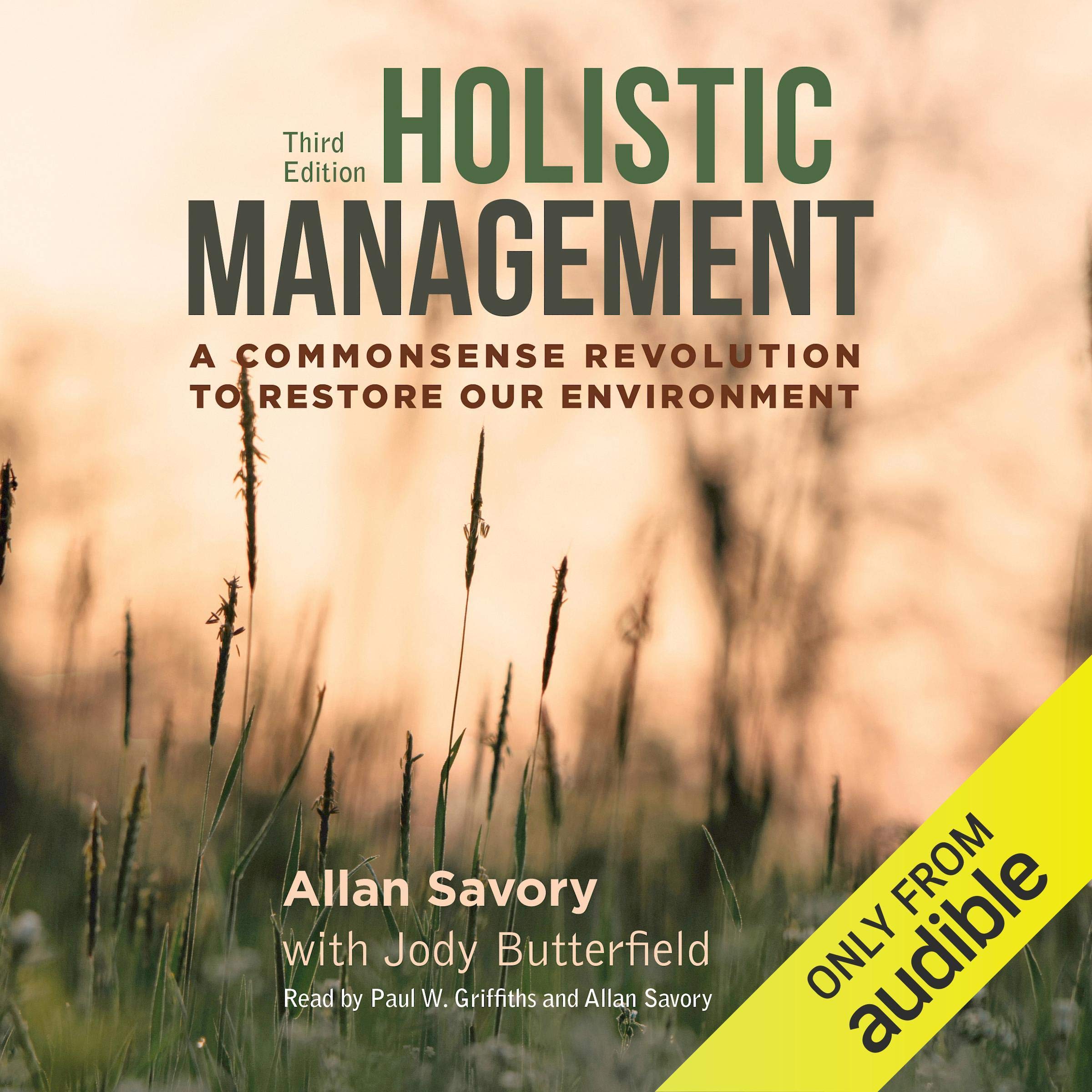 Cover art for Holistic Management: A Commonsense Revolution to Restore Our Environment