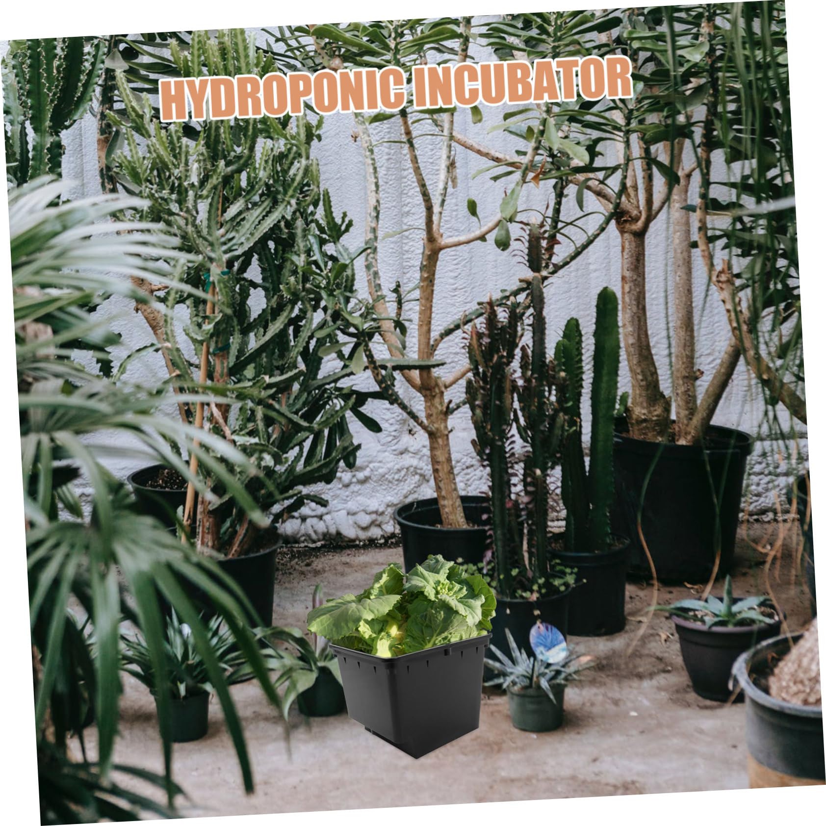 Toyvian 1satz Hydroponisches Anbausystem Für Soilless Culture Für Balkon Und Gewächshaus Praktische Und Pflanzgefäße Für Gesunde Pflanzenpflege