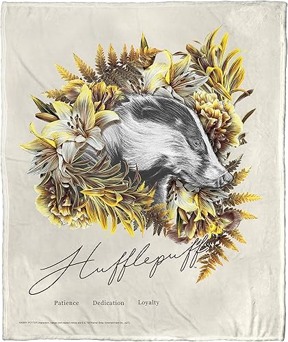 Northwest Harry Potter - Manta de seda táctil, 50 x 60 pulgadas, Slytherin
