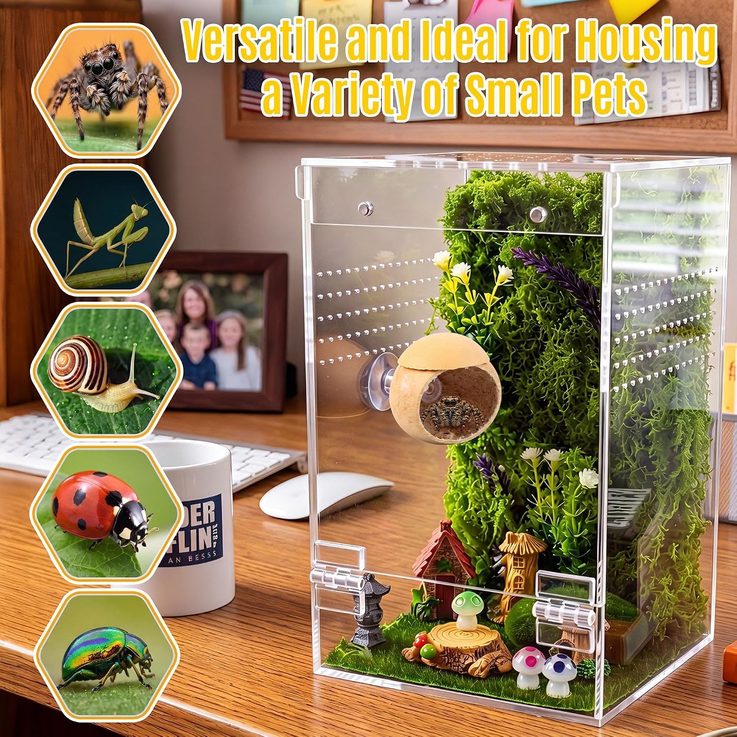 Feekoon Large Jumping Spider Enclosure Kit, Acrylic Insect Terrarium | 5"x5"x9" Transparent Bug Habitat for Praying Mantis & Small Arboreal Species, Complete Starter Tank with Ventilation