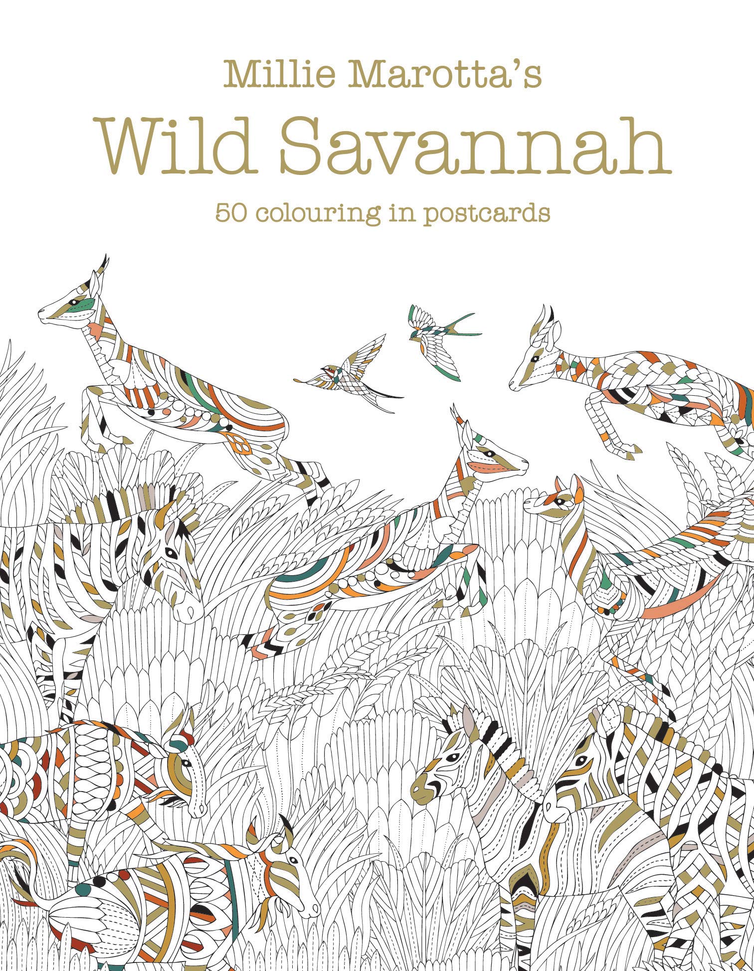 Millie Marotta's Wild Savannah Postcard  by Millie Marotta CARDS / POSTCARDS