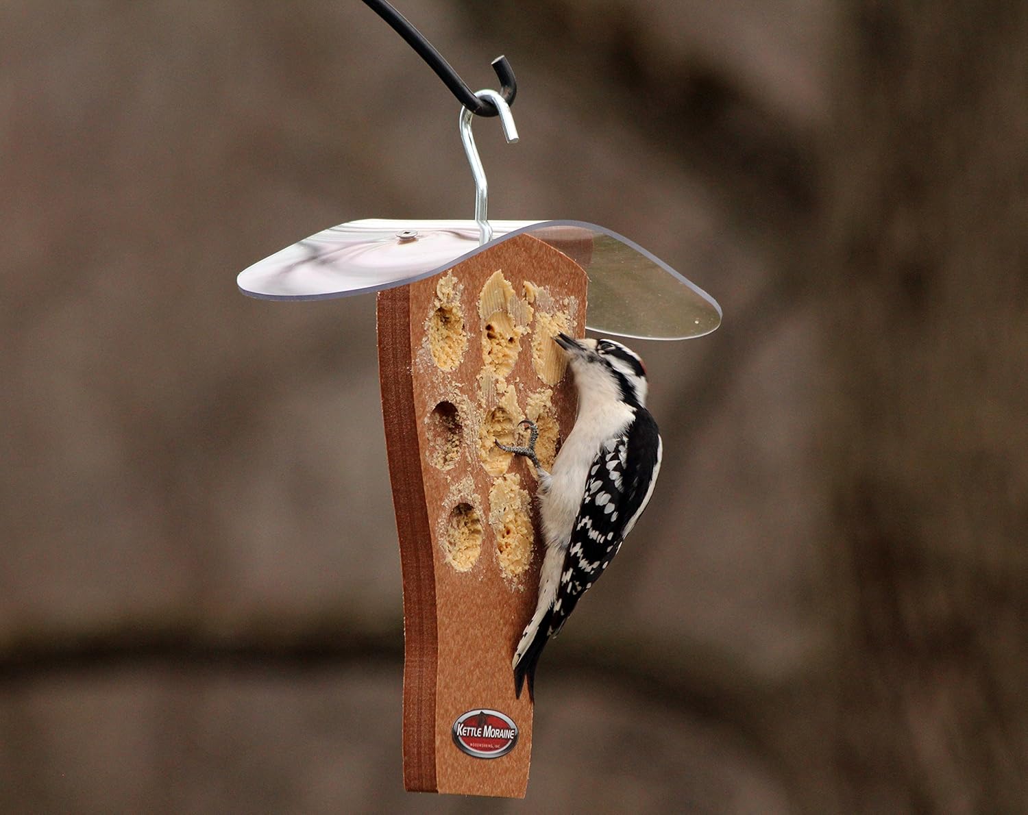 Kettle Moraine Peanut Butter Feeder with Clear Roof (Chocolate)