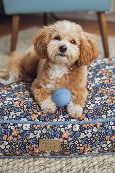 Harry Barker 6-Pack Rubber Ball Set - Medium