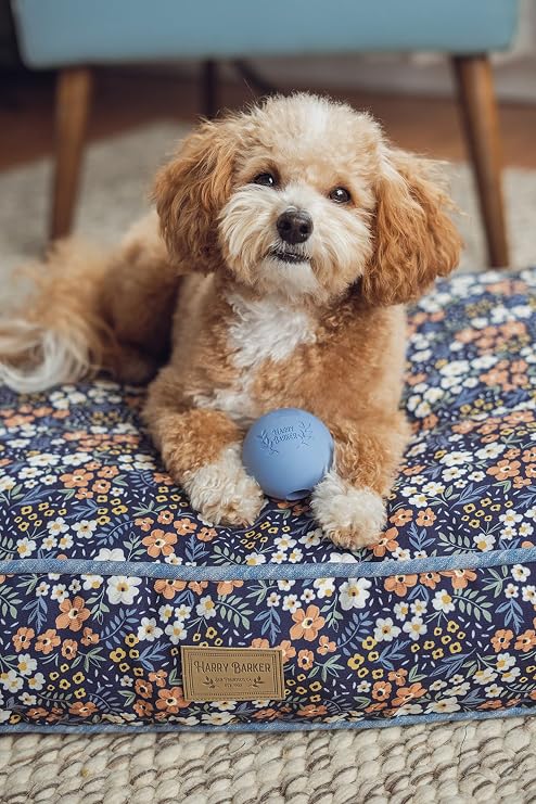 Harry Barker 6-Pack Rubber Ball Set - Medium