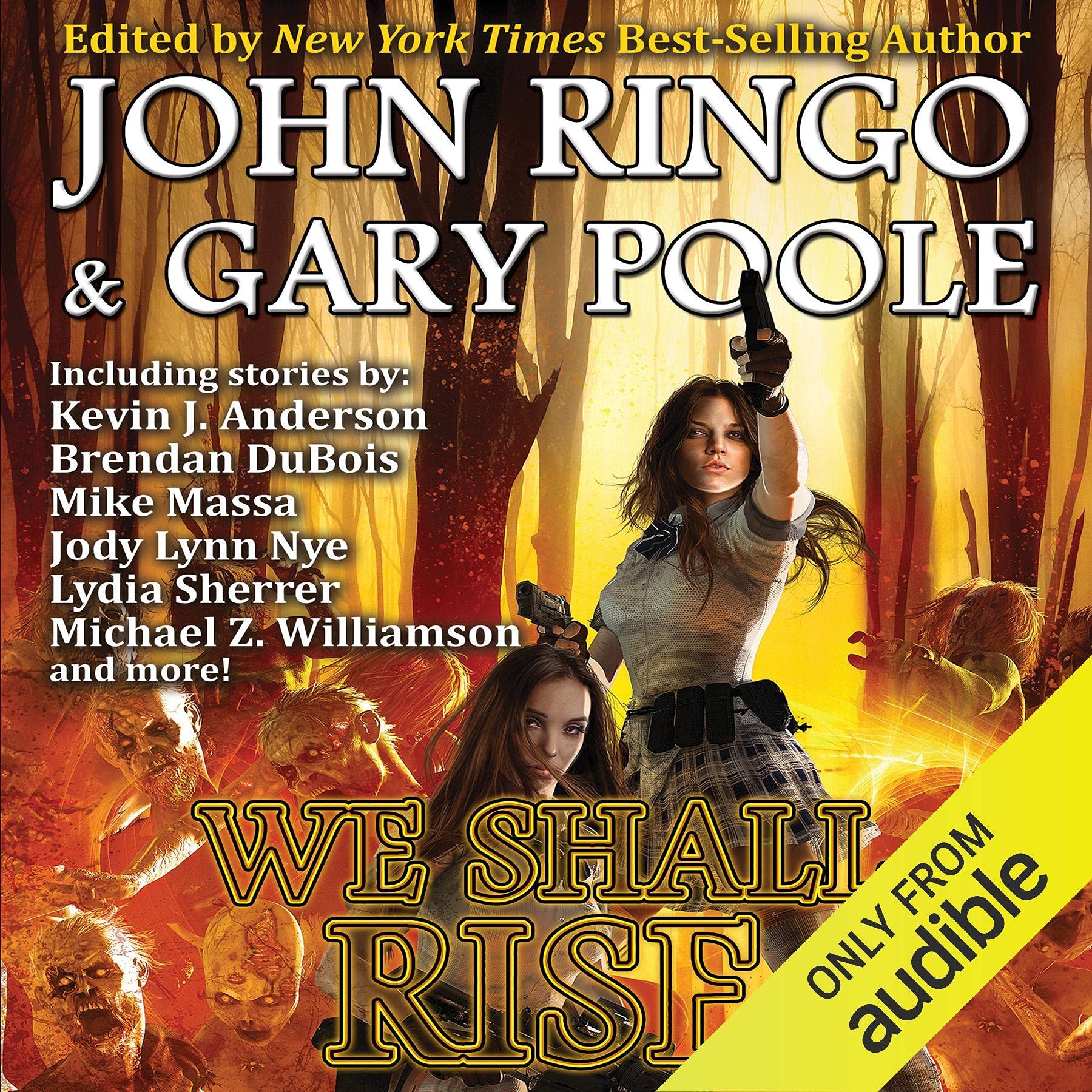Cover art for We Shall Rise