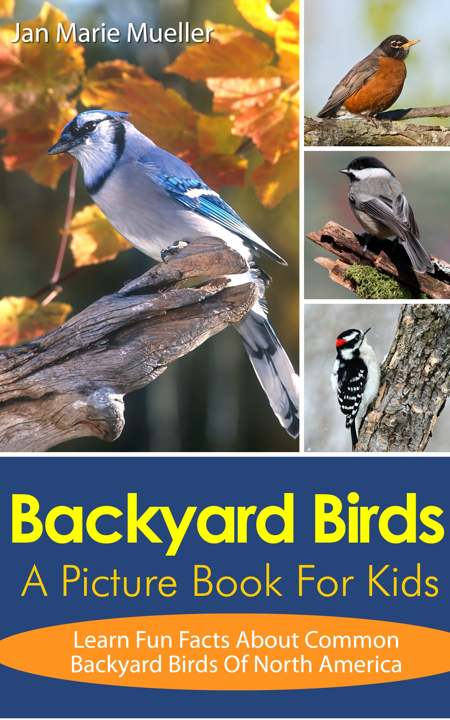 Buy Backyard Birds A Picture Book For Kids To Learn Fun Facts About