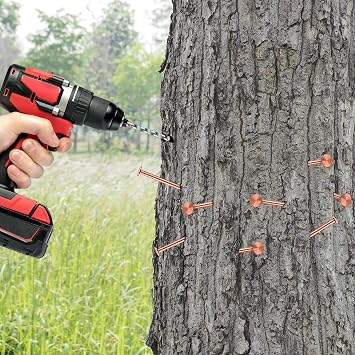 25 Pcs Copper Nails Kit to Killing Trees,Includes 23PCS 3.5 Inch Pure Copper Nails Bulk,Stump Removal Spikes Hardware Nails for Trees, Stumps,Landscaping, and Hobbies