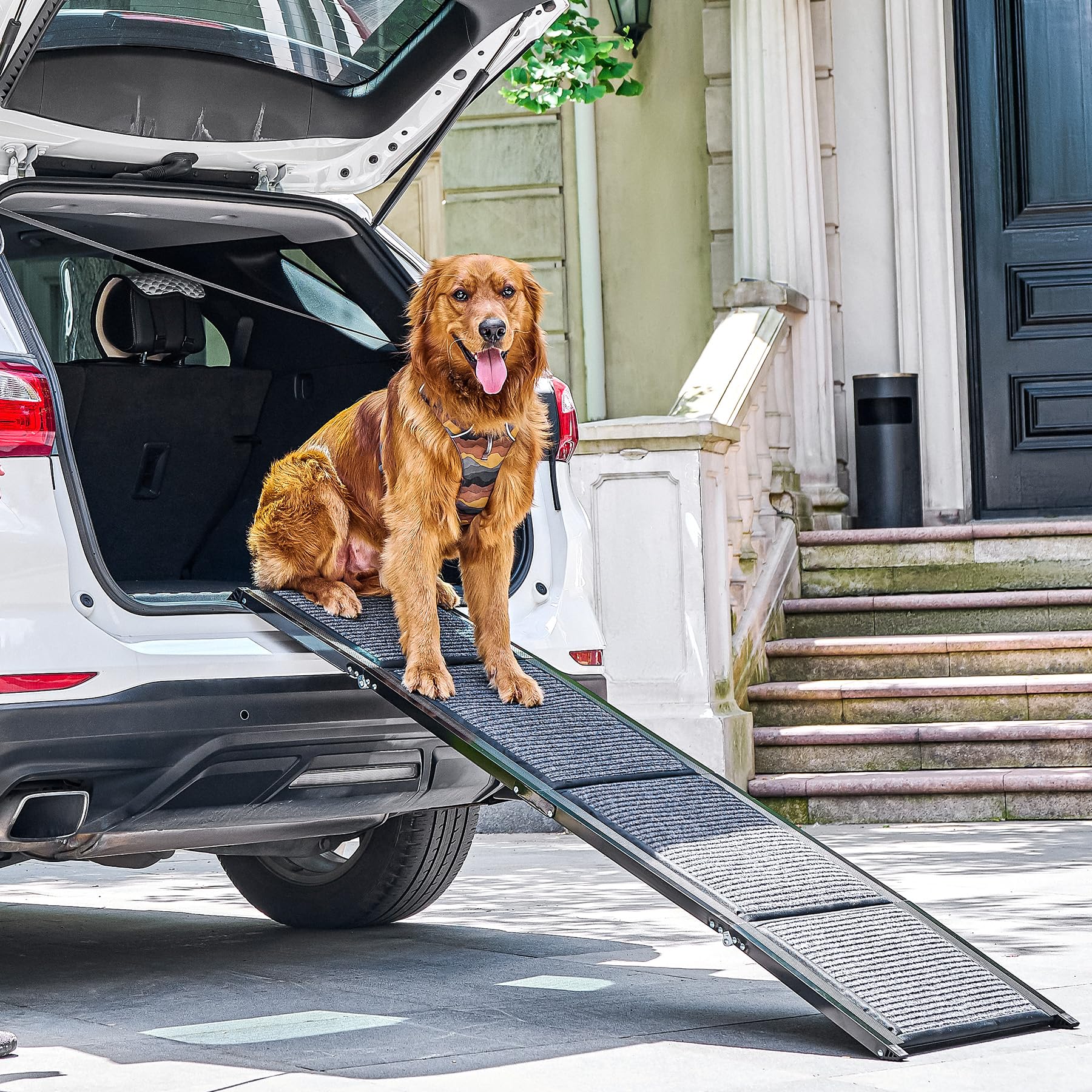 CO-Z Hunderampe Auto klappbar 170cm Leichteres EIN- und Aussteigen für kleine und große Hunde bis 90kg Hundetreppe mit Rutschfester Oberfläche für alle Fahrzeuge nutzbar (170cm)