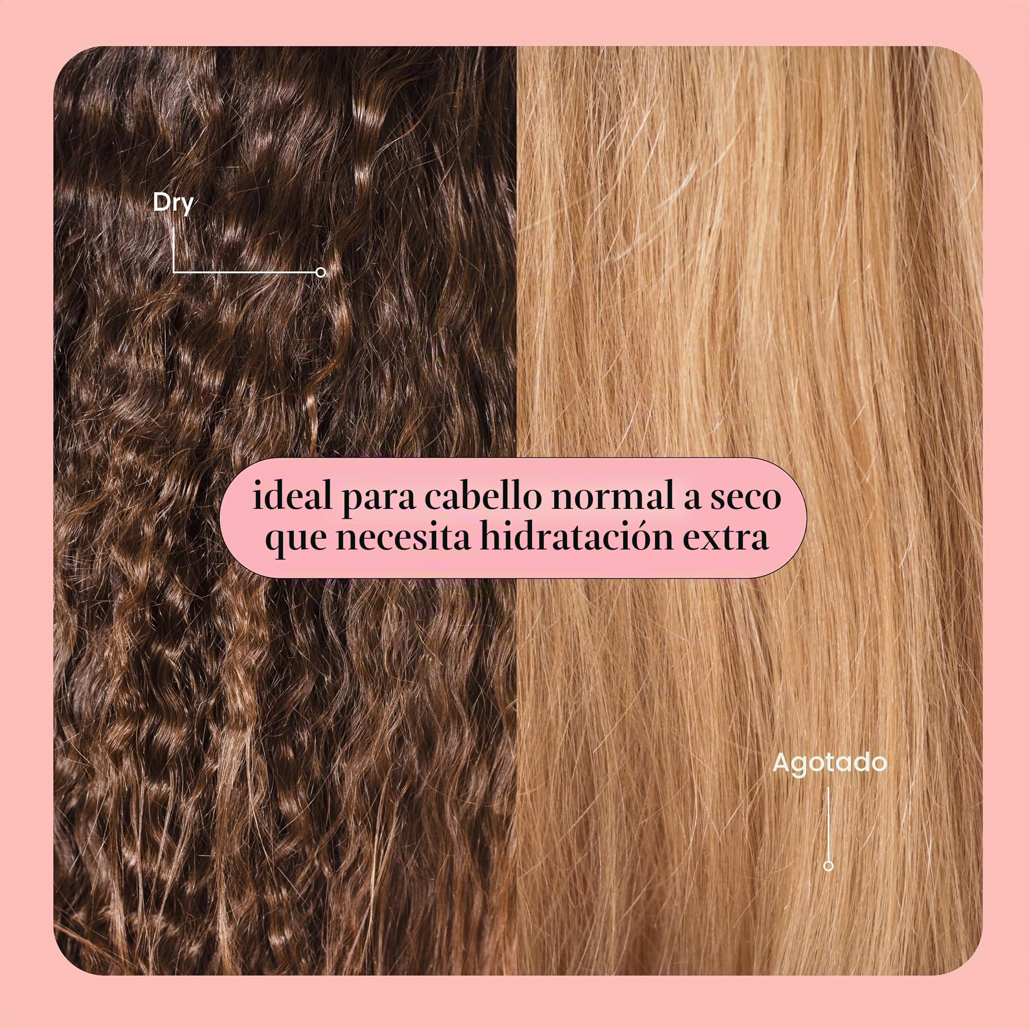 MONDAY-AMAZON Paquete combinado de humedad regular 12 oz líquido (1 champú, 1 acondicionador)