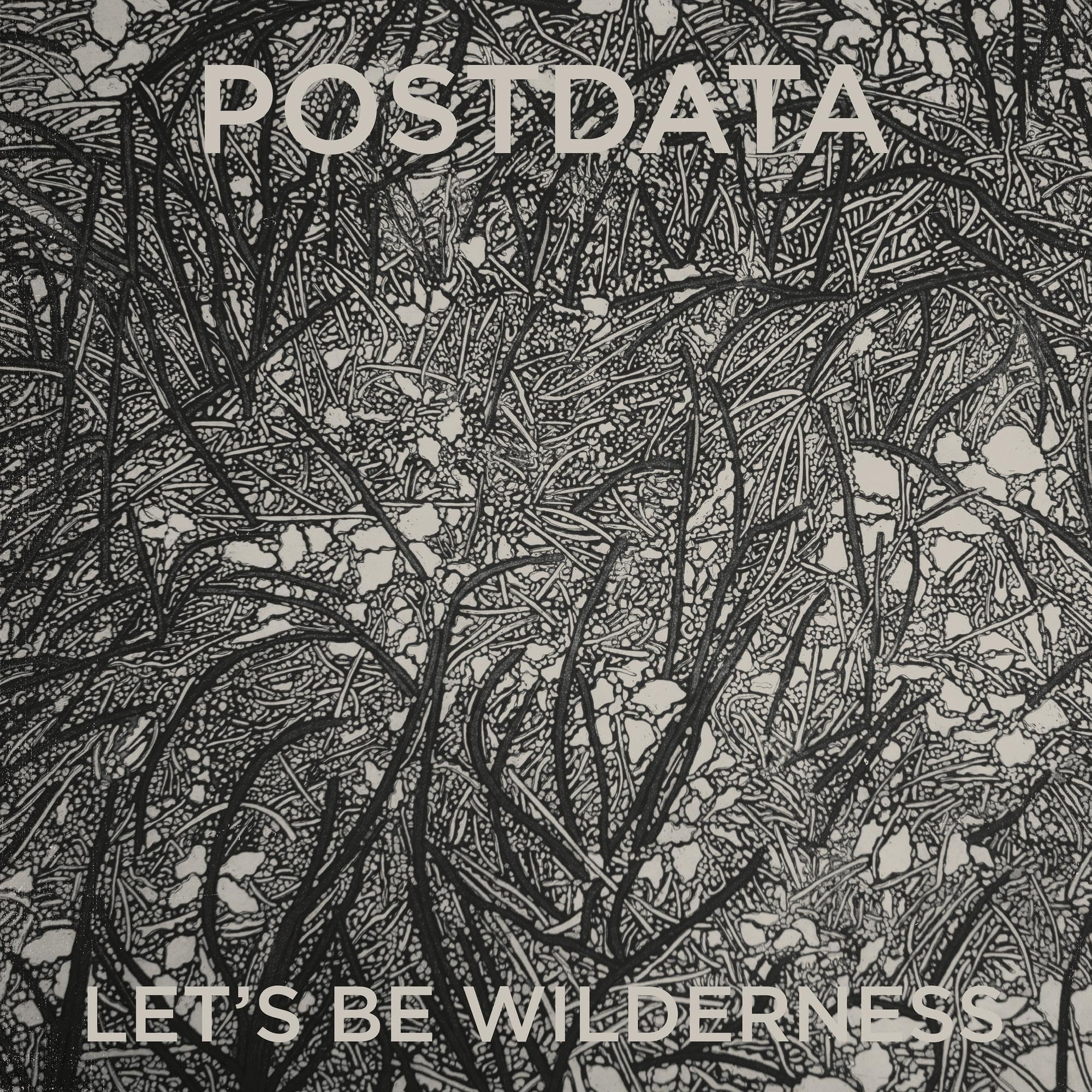 Let's Be Wilderness [Audio CD] POSTDATA