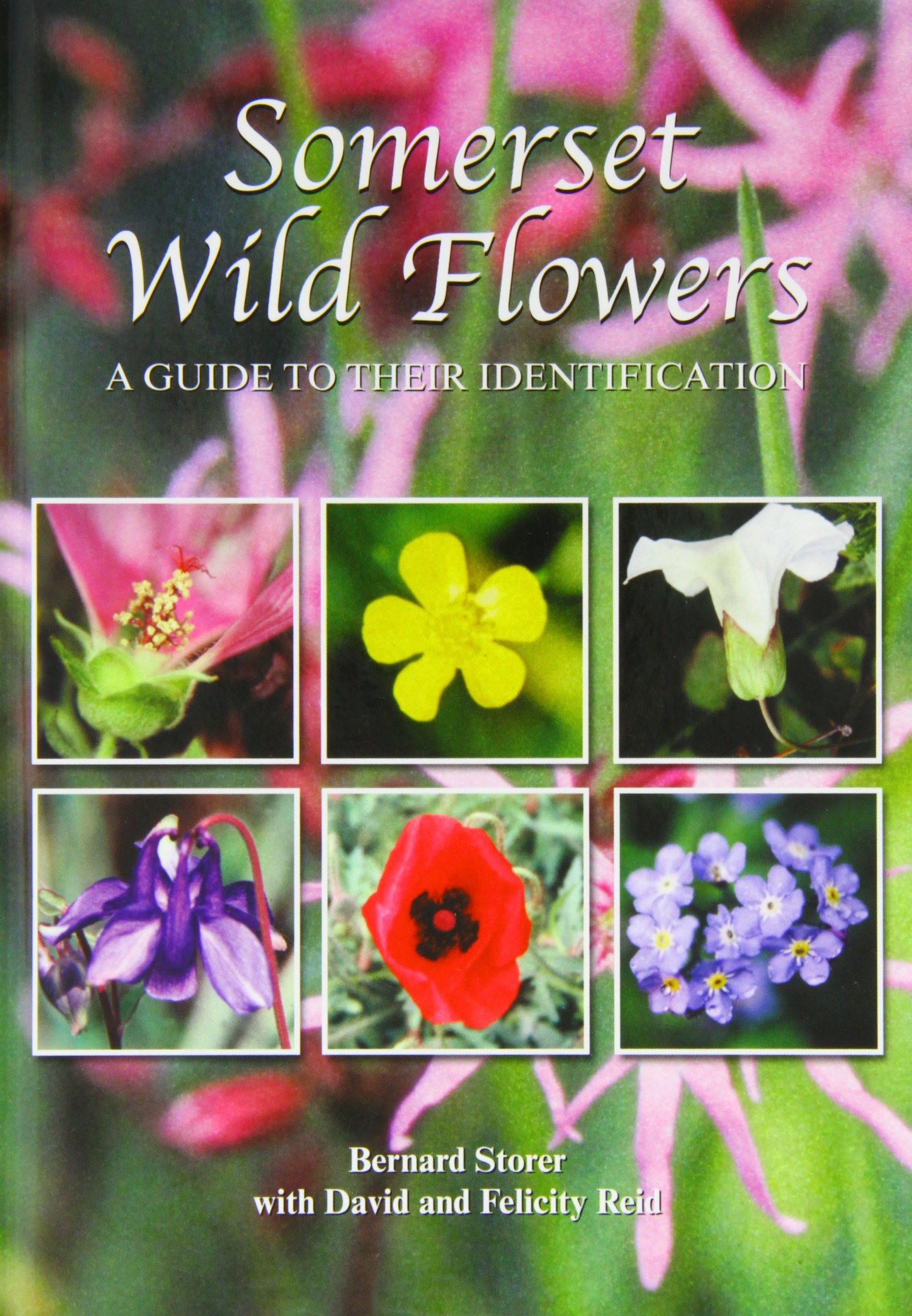 Somerset Wild Flowers: A Guide to Their Identification