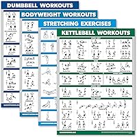 Palace Learning 4-Pack Laminated Workout Posters: Dumbbell, Bodyweight, Stretching & Kettlebell Exercises - 18x24 Inch Fitness Charts