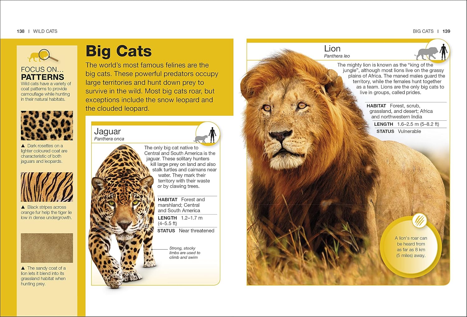 Cats: Facts at Your Fingertips (Pocket Eyewitness)