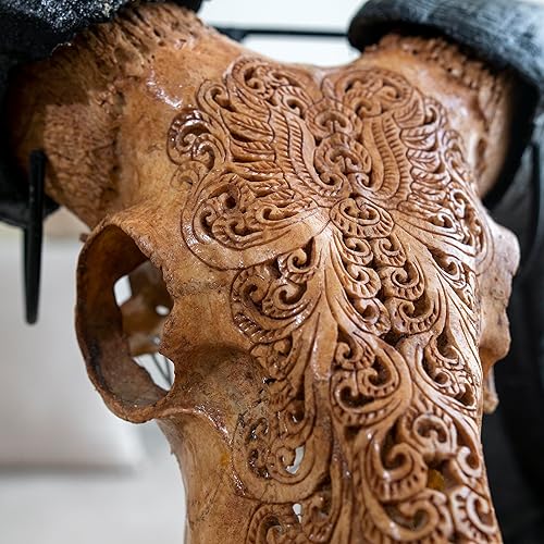 Miniatura 6 de Skull Bliss - Cráneo de carnero de taxidermia auténtico tallado a mano con cuernos decoración del hogar de calavera de carnero auténtica