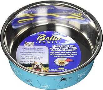 Loving PetsBella Bowl Designer & Expressions Dog Bowl, Small, Dragonfly, Turquoise