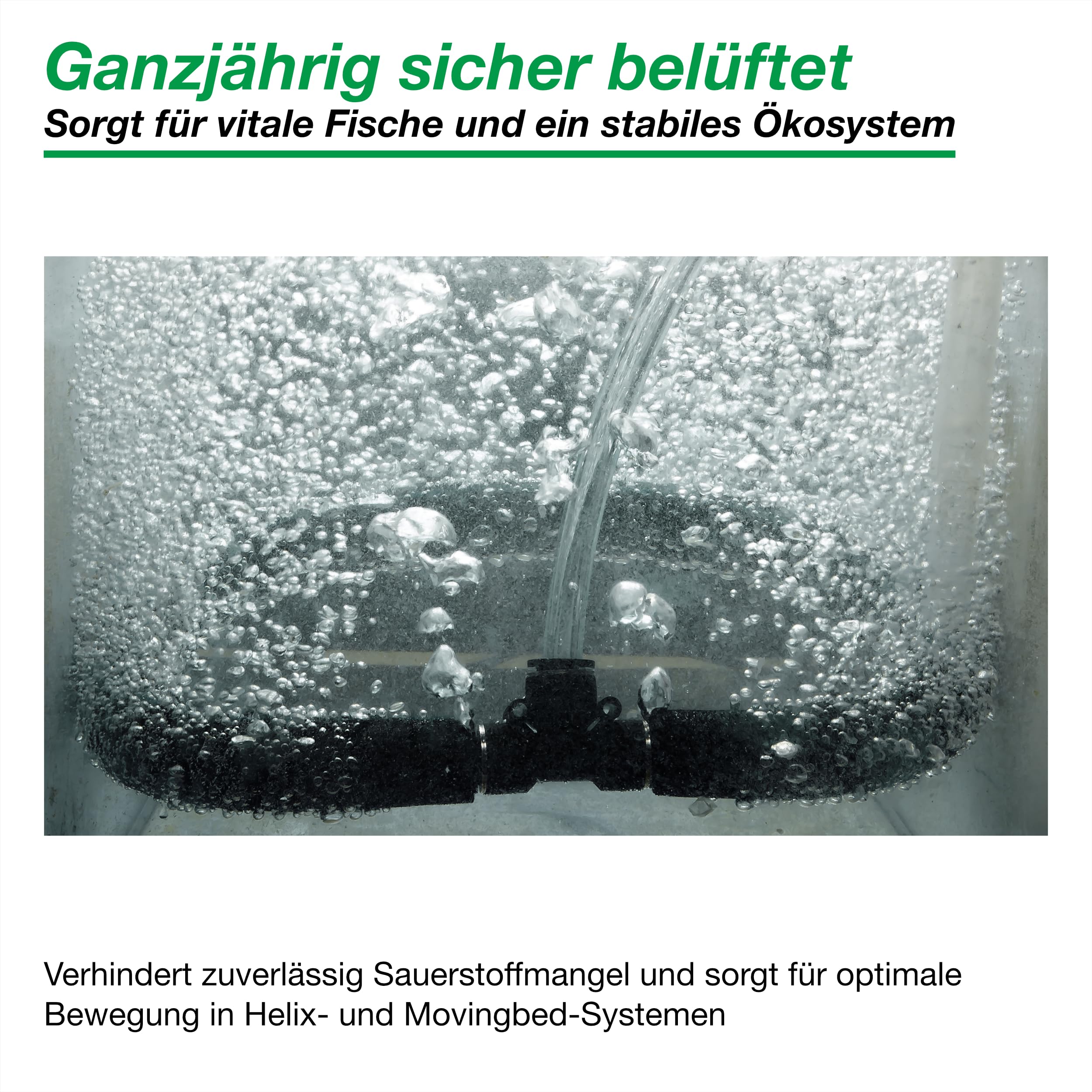 Teichbelüfter-Set AP-60 Luftpumpe mit Japan Belüfterring Ø 35 cm Sauerstoffpumpe für Ihrem Koiteich. Eine Profi Luftpumpe als Eisfreihalter im Winter zu verwenden