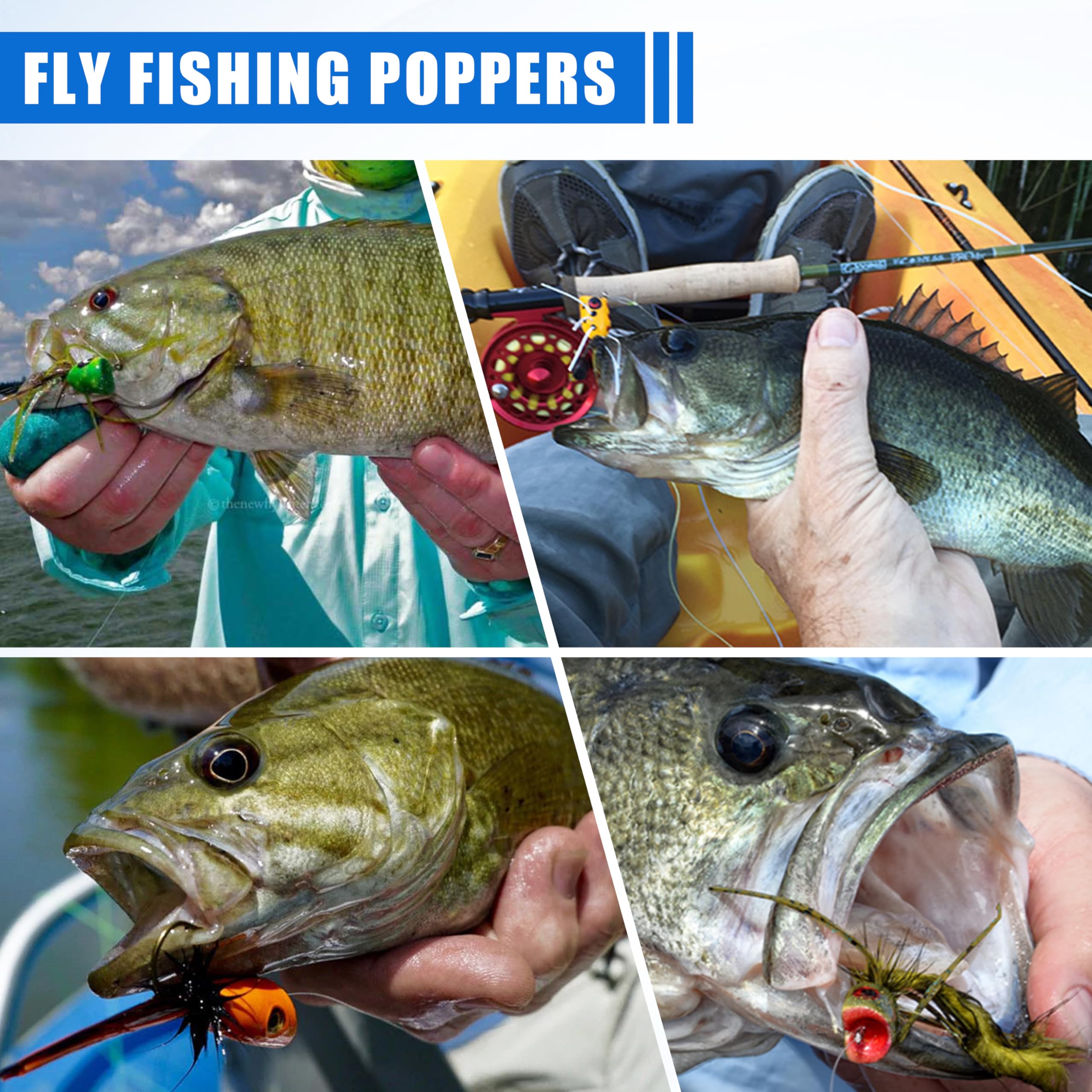 Fliegenfischen Popper Fliegen, Popper Angelköder, Topwater Poppers Fliegen, Käfer Köder für Fliegenfischen, Barsch, Bluegill, Crappie, Forelle, Lachs, Panfish, Barsch