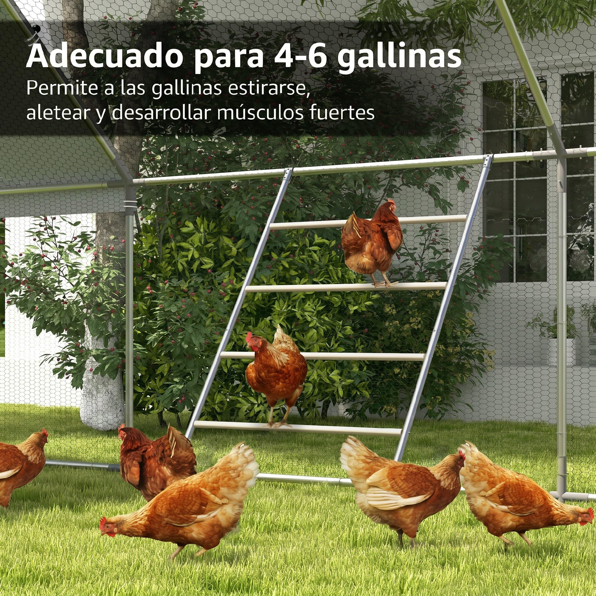 PawHut Percha para Gallinas de 4 Niveles, Escalera de Madera y Acero Galvanizado para 4-6 Gallinas, 140x86 cm, para Gallineros de Tubos Metálicos de 25 mm, Natural