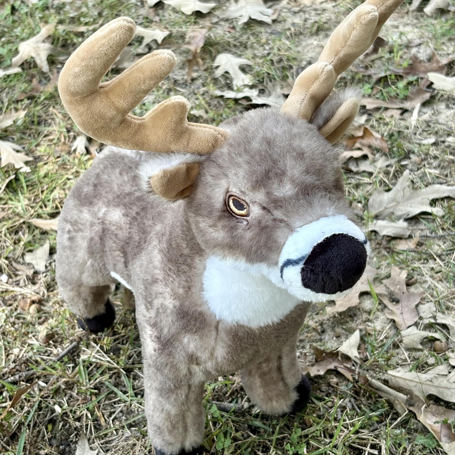 The Petting Zoo White-Tailed Buck Stuffed Animal Plushie, Gifts for Kids, Earth Keeperz Wildlife Animals, Zoologee White-Tailed Buck Plush Toy, 12 inches - Image 5