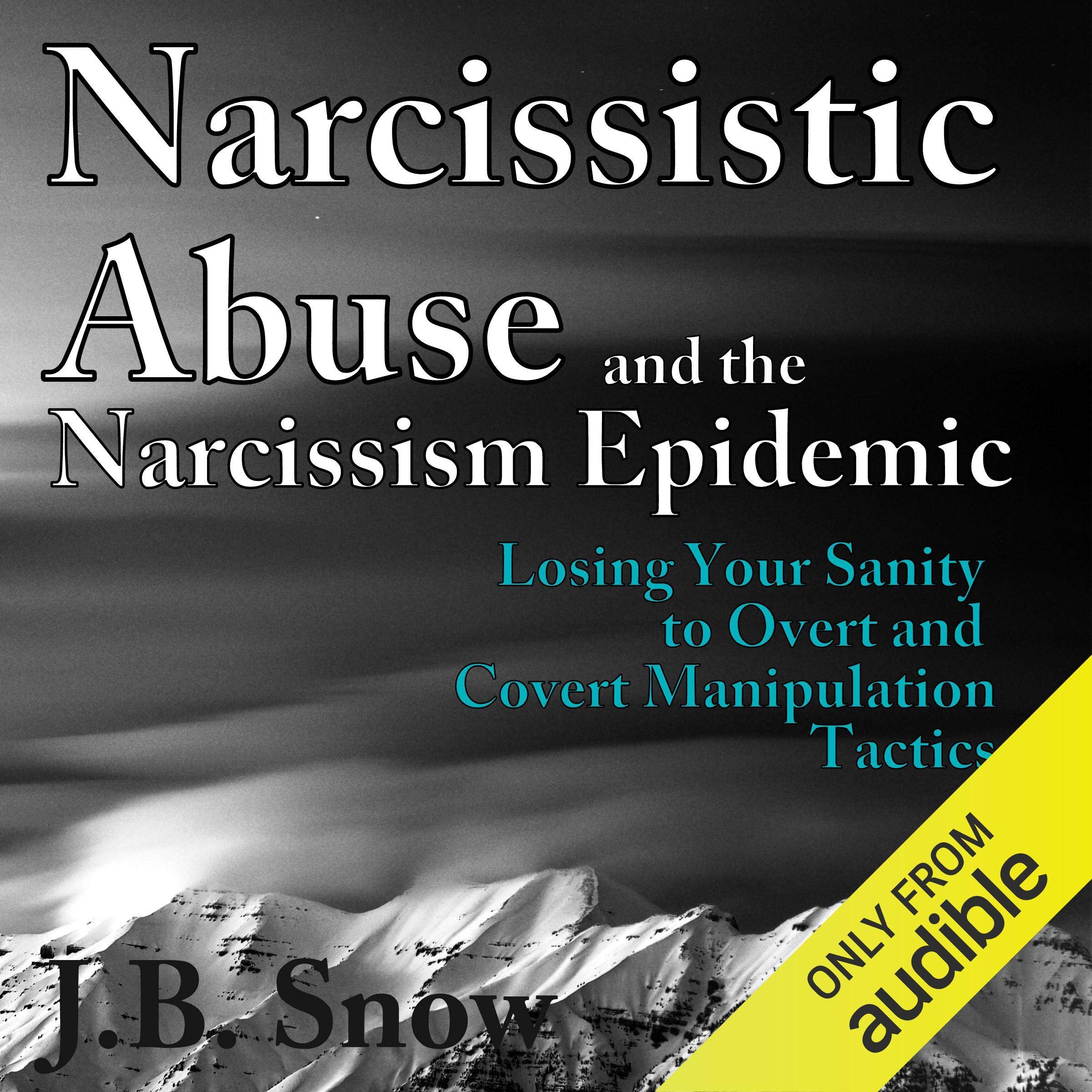 Cover art for Narcissistic Abuse and the Narcissism Epidemic: Losing Your Sanity to Overt and Covert Manipulation Tactics
