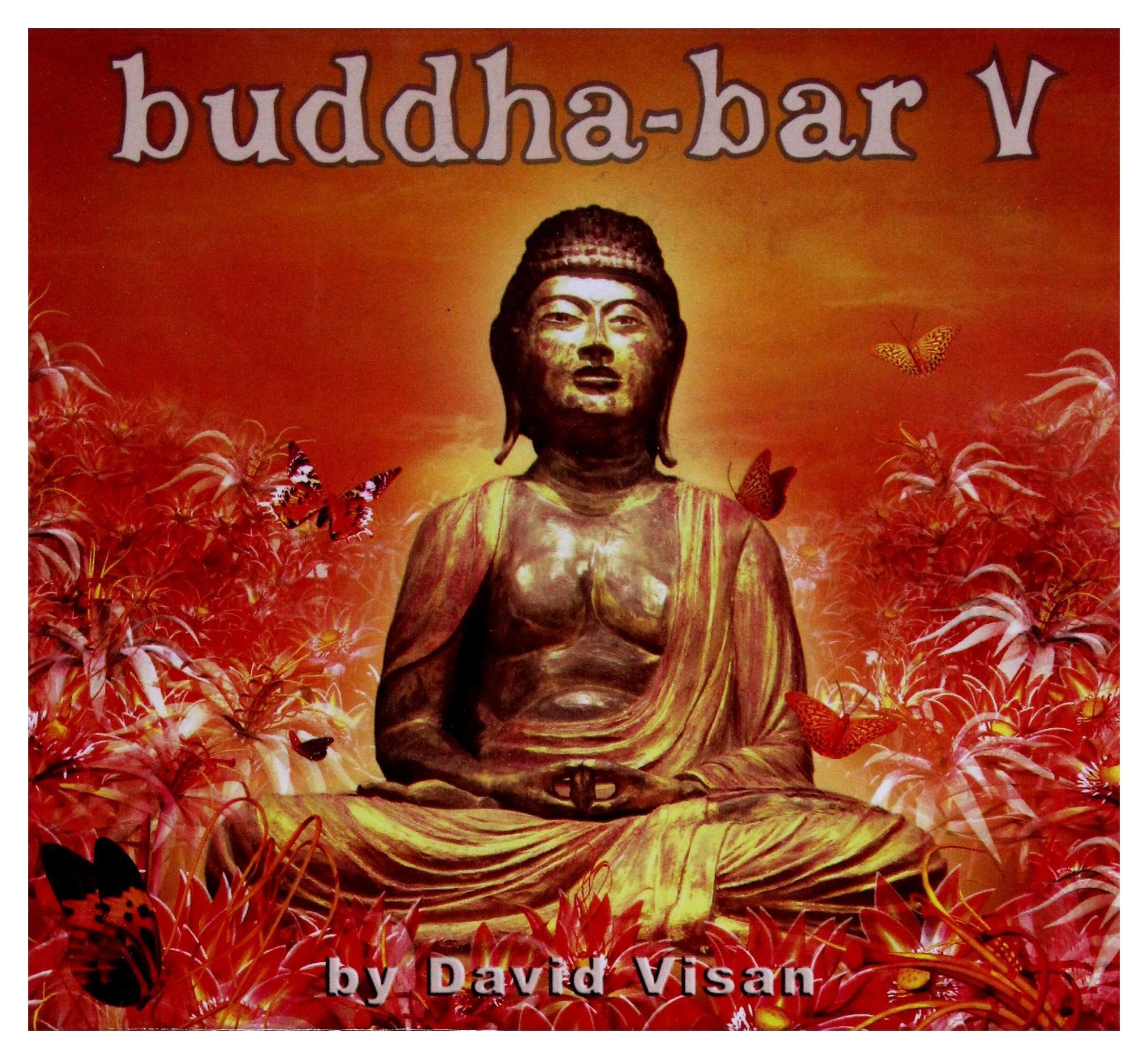 Buddha Bar V [Audio CD] Visan, David (Various)