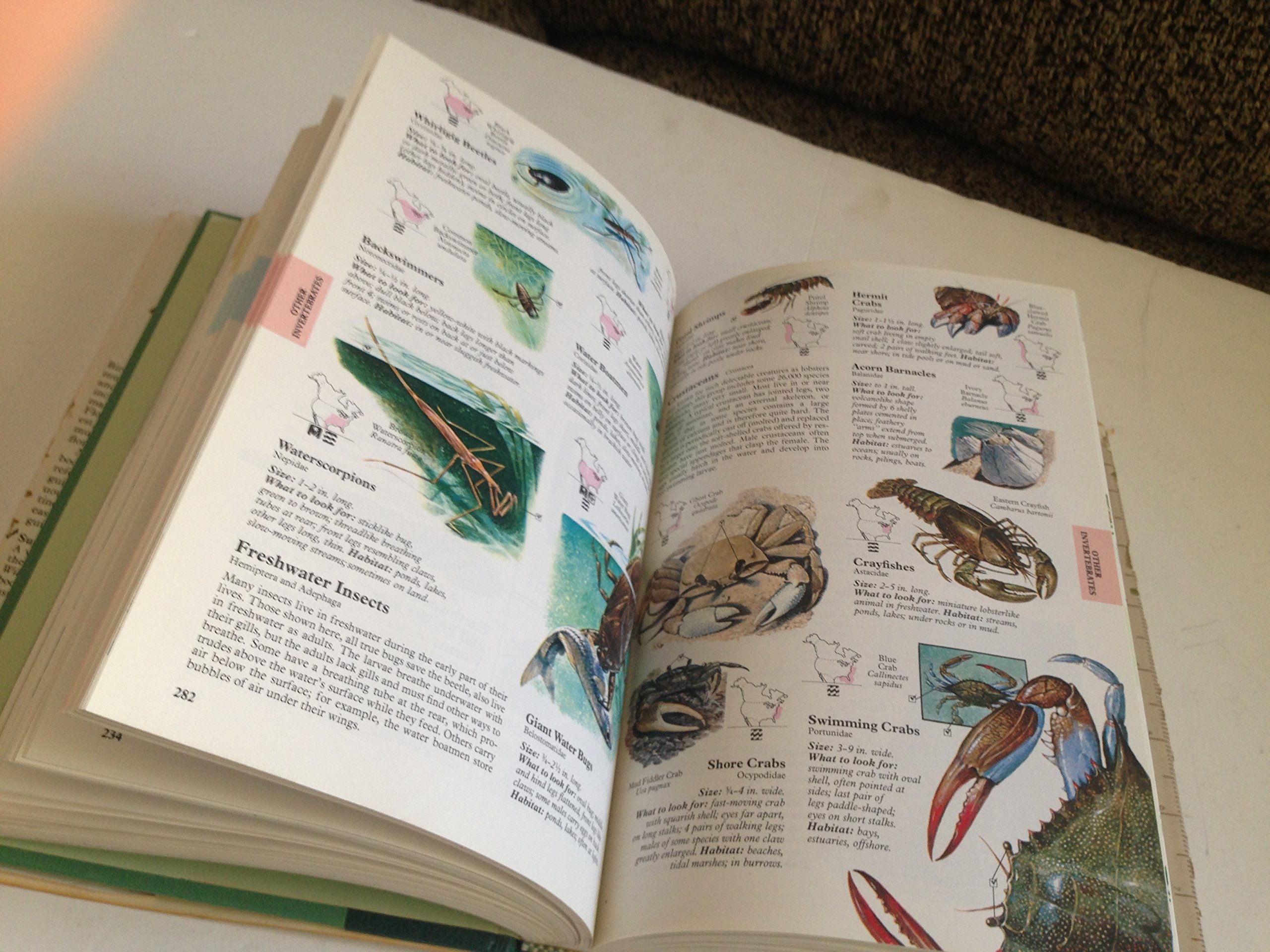 Reader's Digest North American Wildlife - Image 6