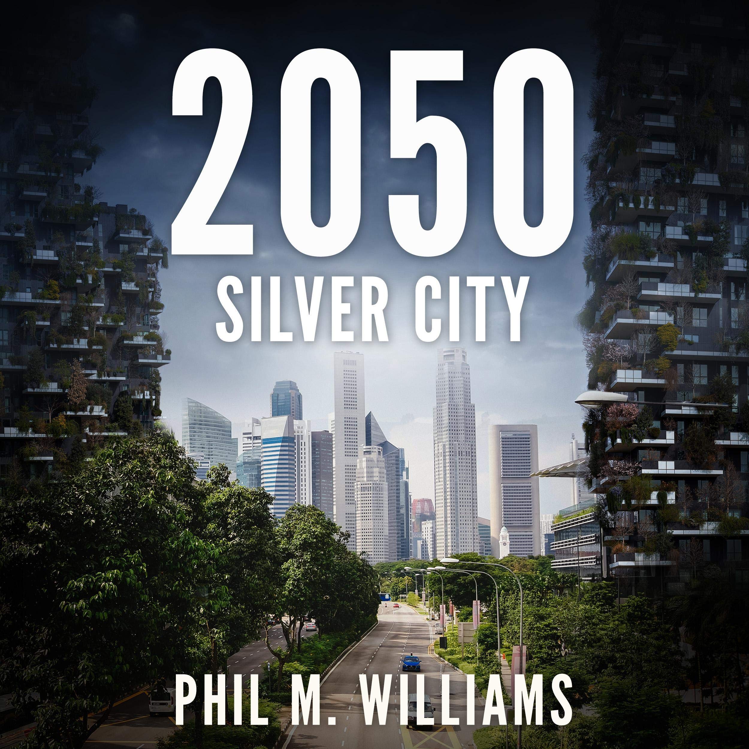 Cover art for Silver City
