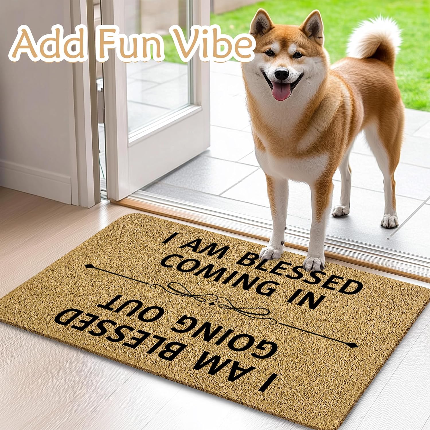 Funny Welcome Mats for Front Door, Funny Door Mat, I Am Blessed Coming in and Going Out Doormat for Porch Outside Inside Outdoor Indoor Entrance, Humorous Bath Rug, 17x30 Inches