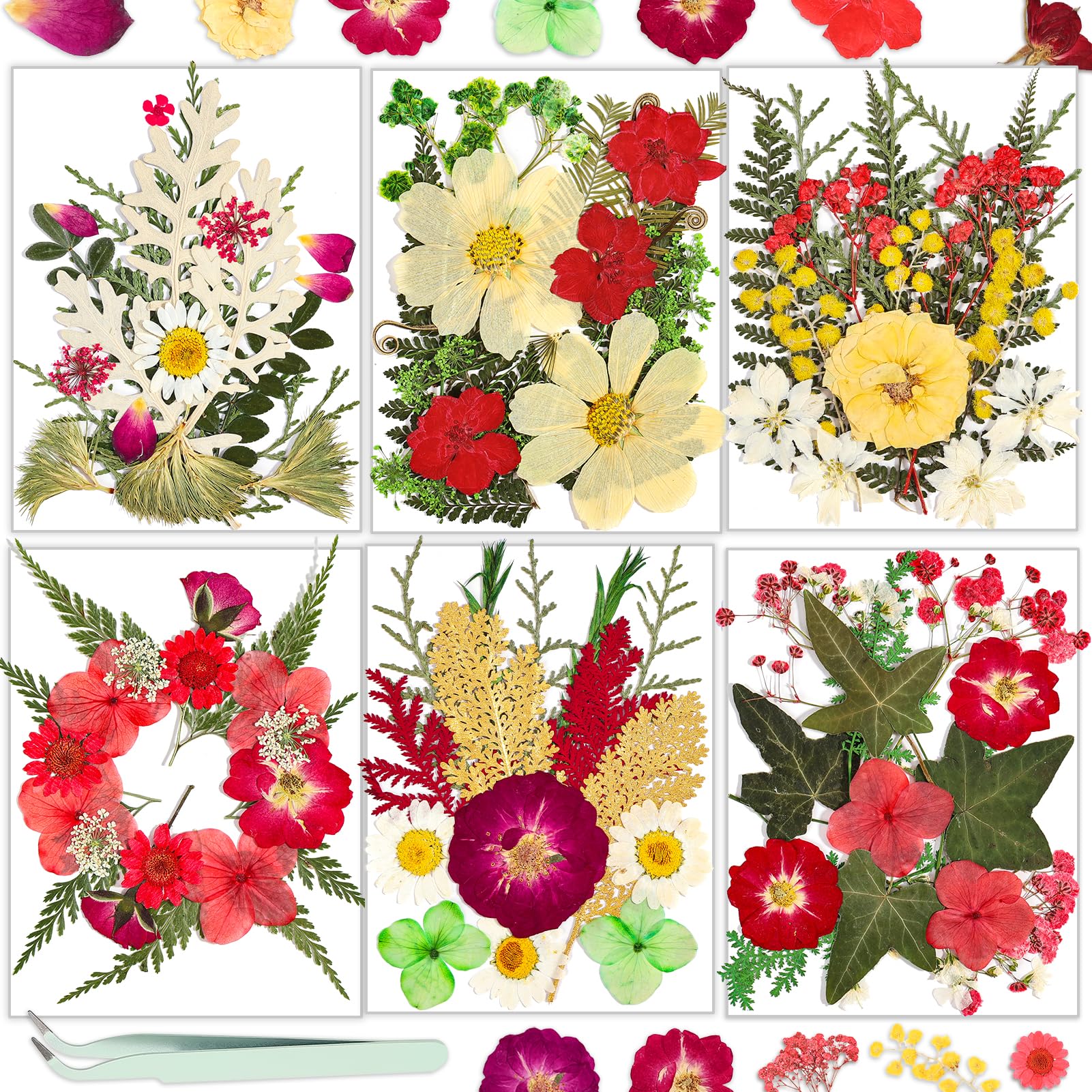 Dried Flowers, Resiners 6 Pack Pressed Flowers for Christmas Craft 100% Real Natural Dried Flowers Kits for Christmas DIY Making Crafts Resin Soap Candle Making Jewelry Scrapbook Supplies Card