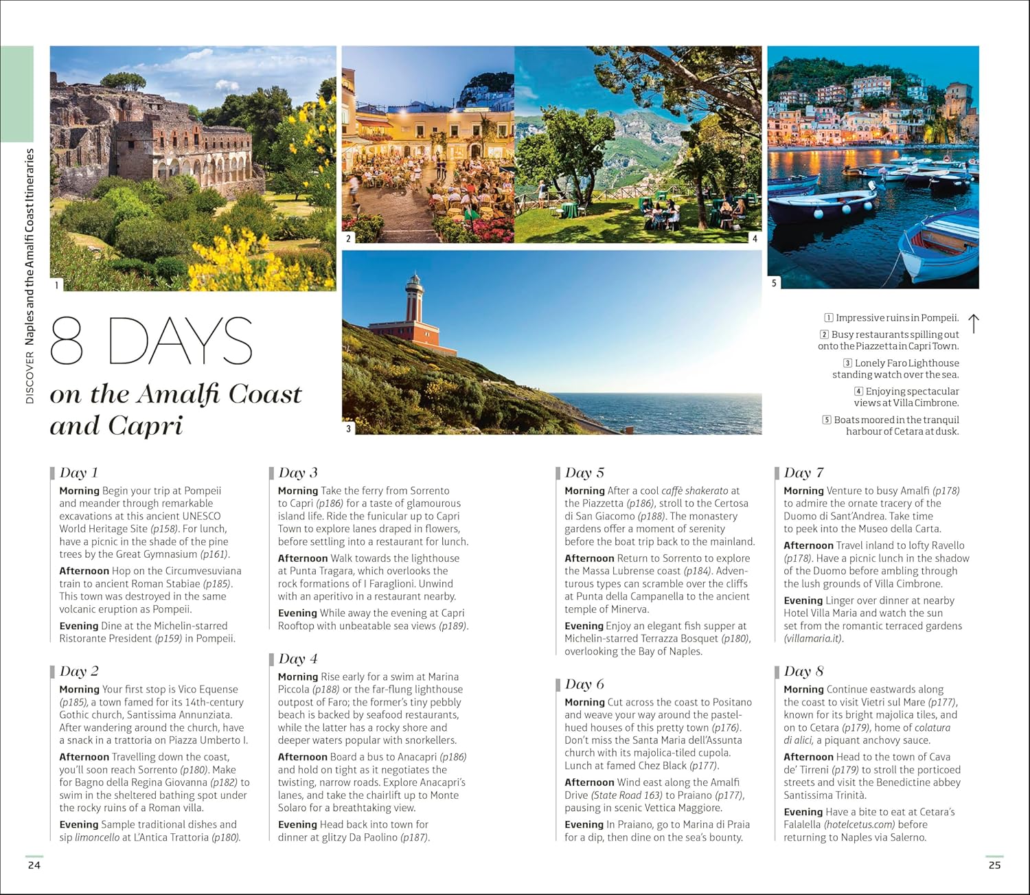 DK Naples and the Amalfi Coast: Must-See Sights. Culture & History. Detailed Maps & Tours. Covers Naples, Pompeii, & more (Travel Guide)