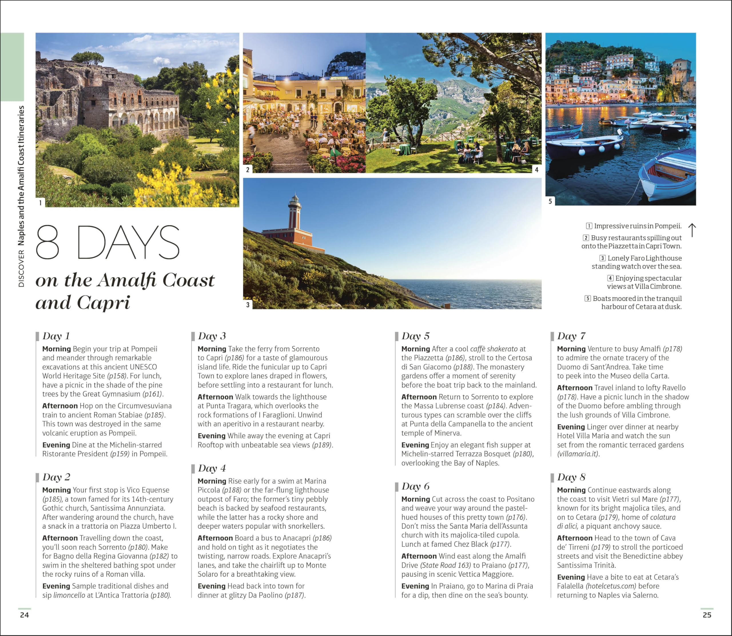DK Naples and the Amalfi Coast: Must-See Sights. Culture & History. Detailed Maps & Tours. Covers Naples, Pompeii, & more