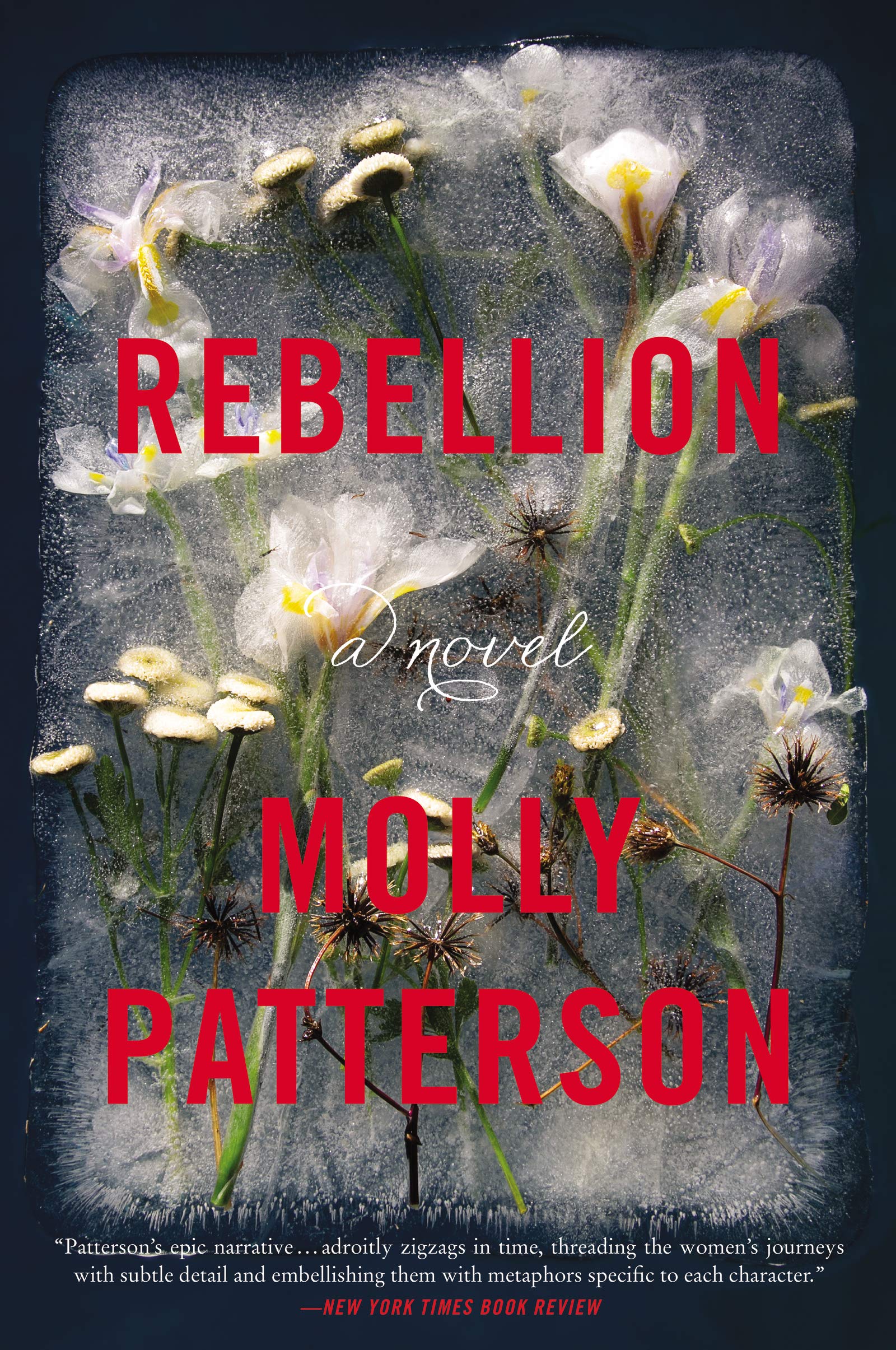 Rebellion: A Gripping Multi-Generational Literary Historical Fiction Saga – Perfect for Book Groups