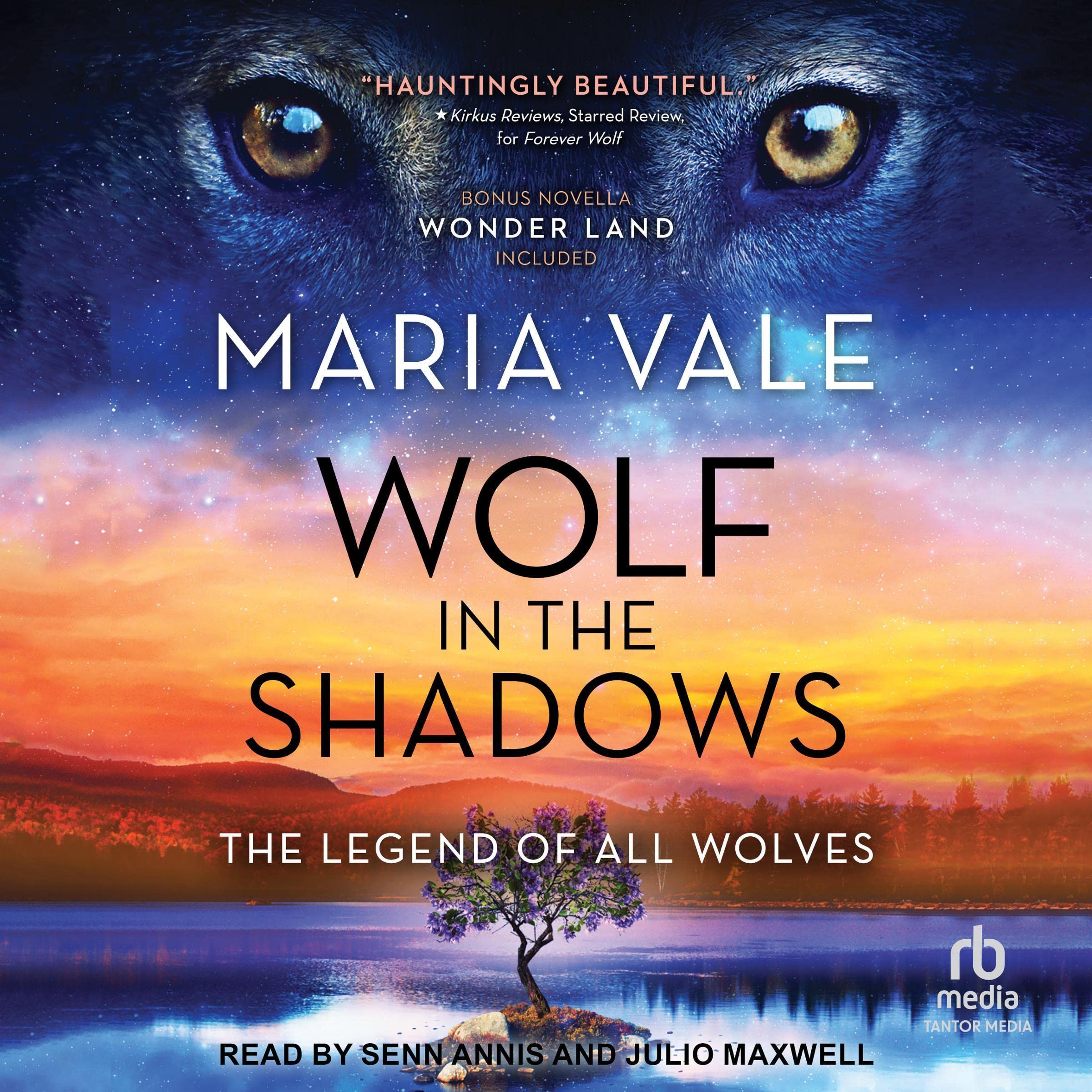 Cover art for Wolf in the Shadows
