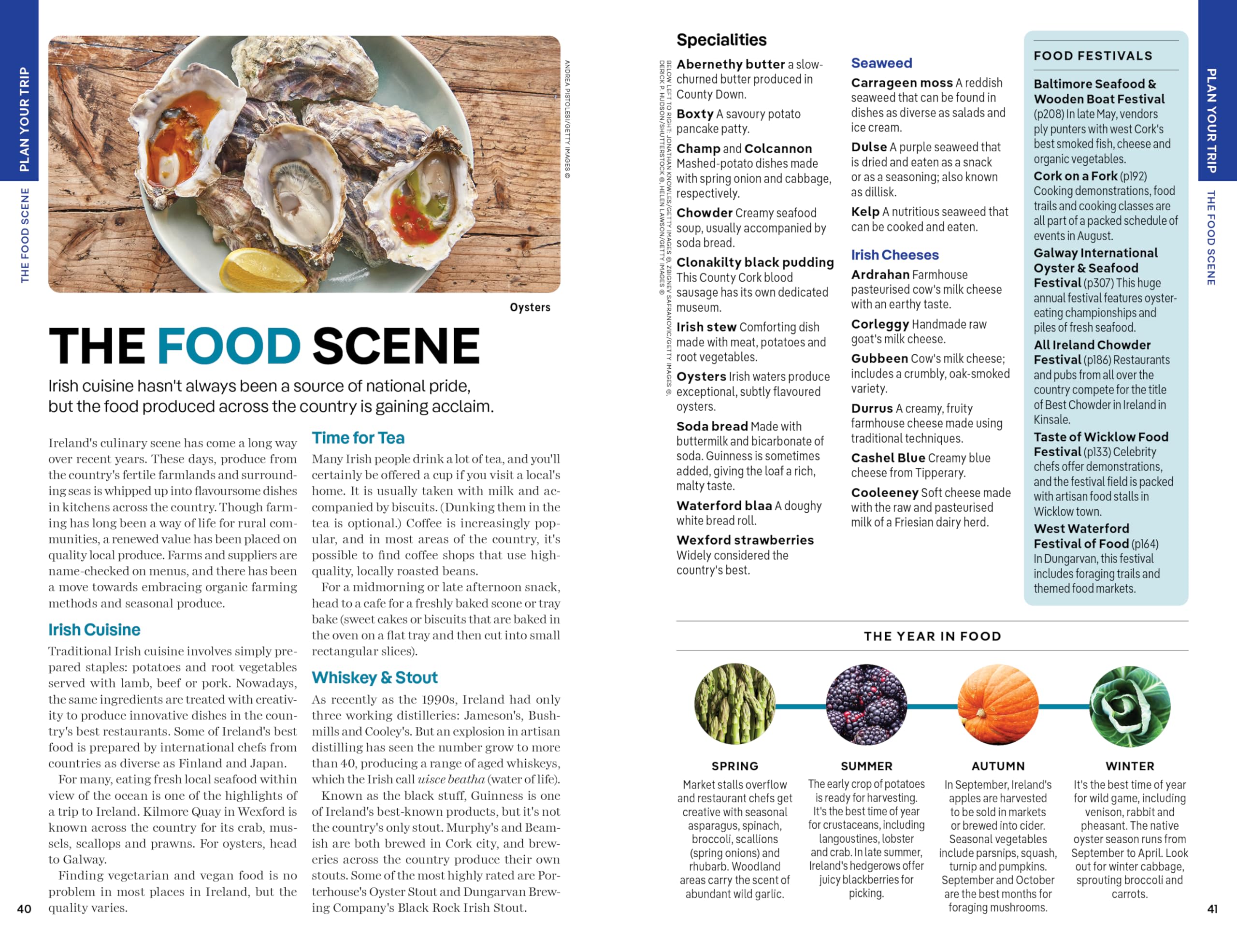 Ireland 16ed -anglais-: Detailed Itineraries Travel Like a Local Insider Tips Covers Dublin, Cork, Galway, Belfast, and More