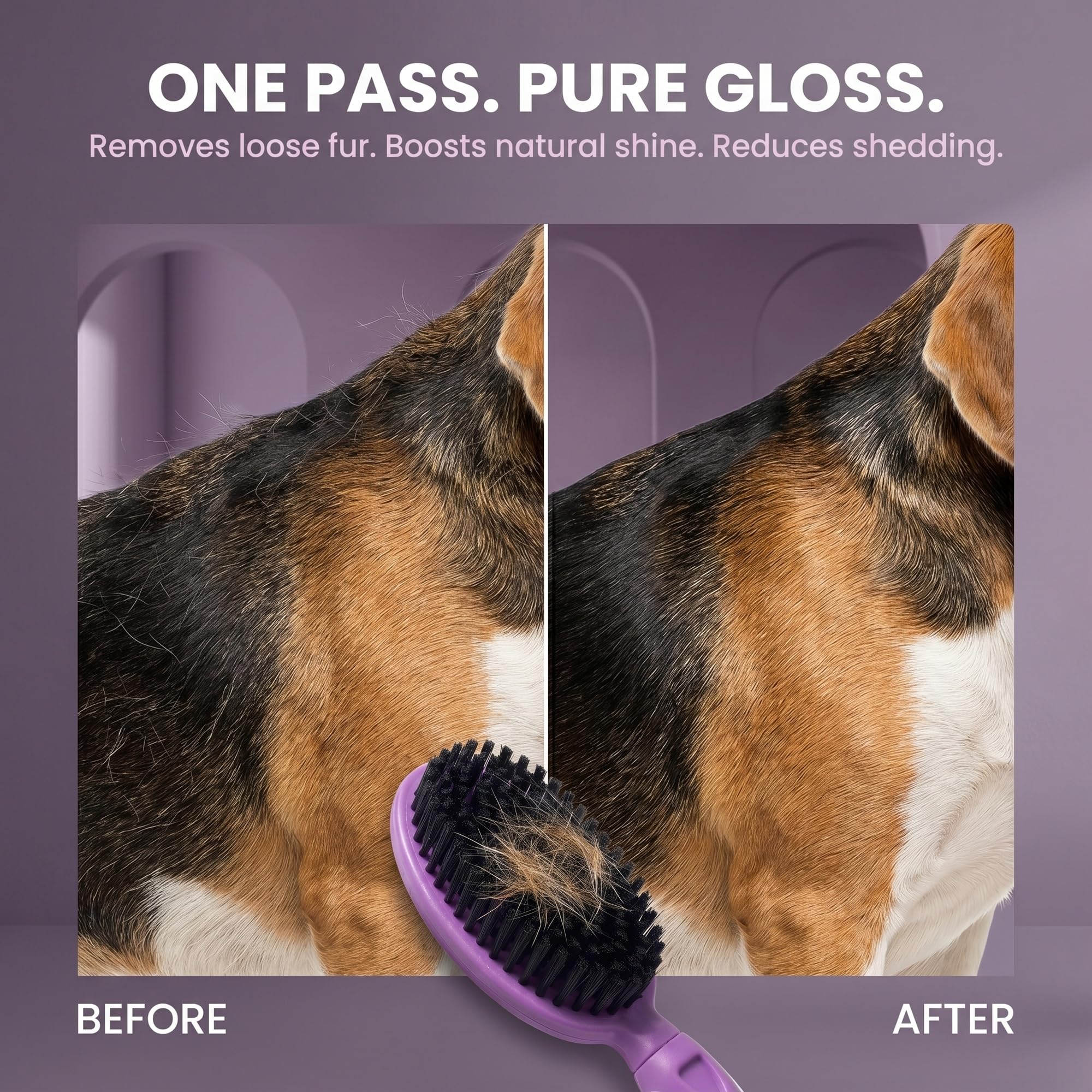Poodlie Brosse à poils doux pour chien pour poils courts, brosse de toilettage douce pour peaux sensibles, élimine les poils morts, poignée en caoutchouc antidérapant
