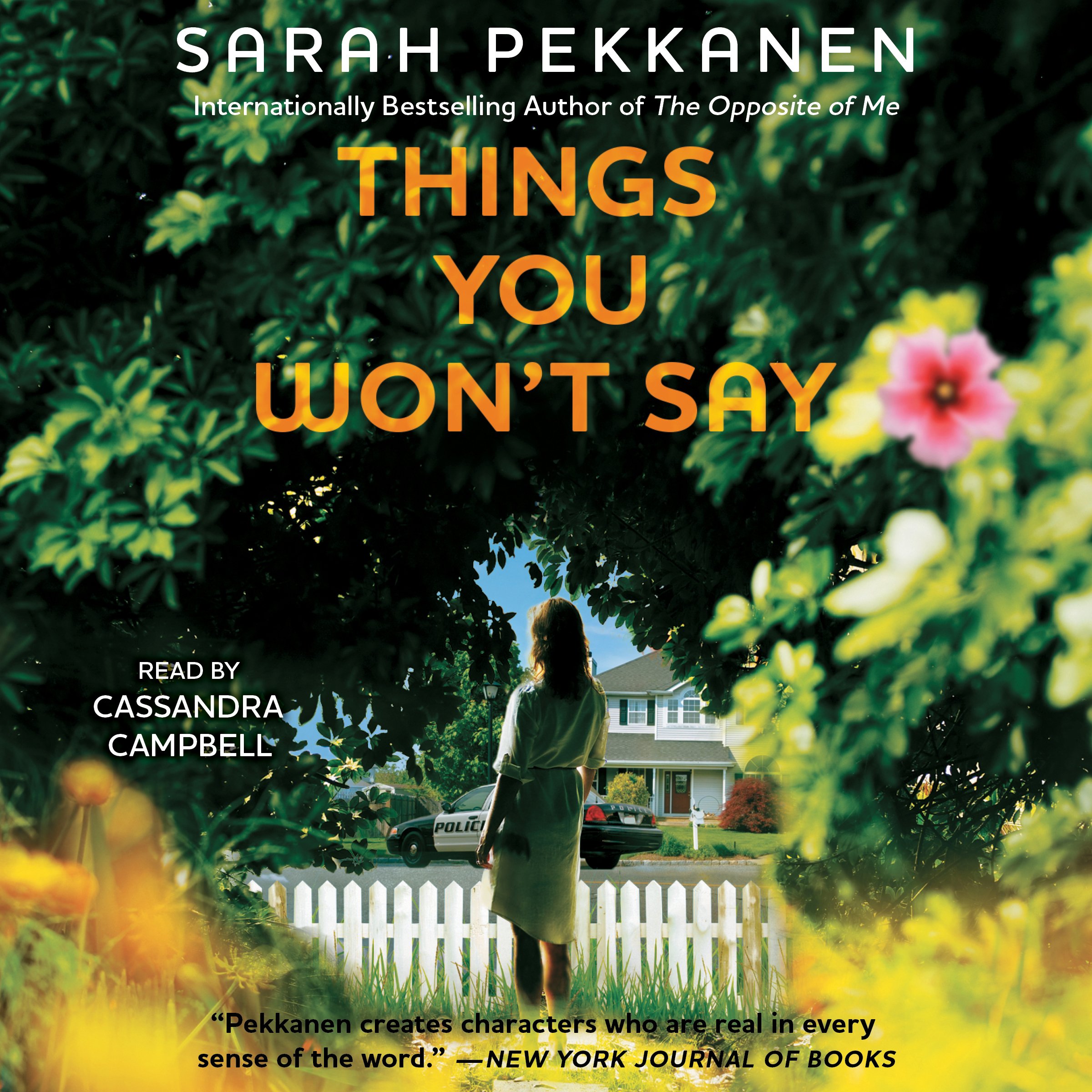 Cover art for Things You Won't Say