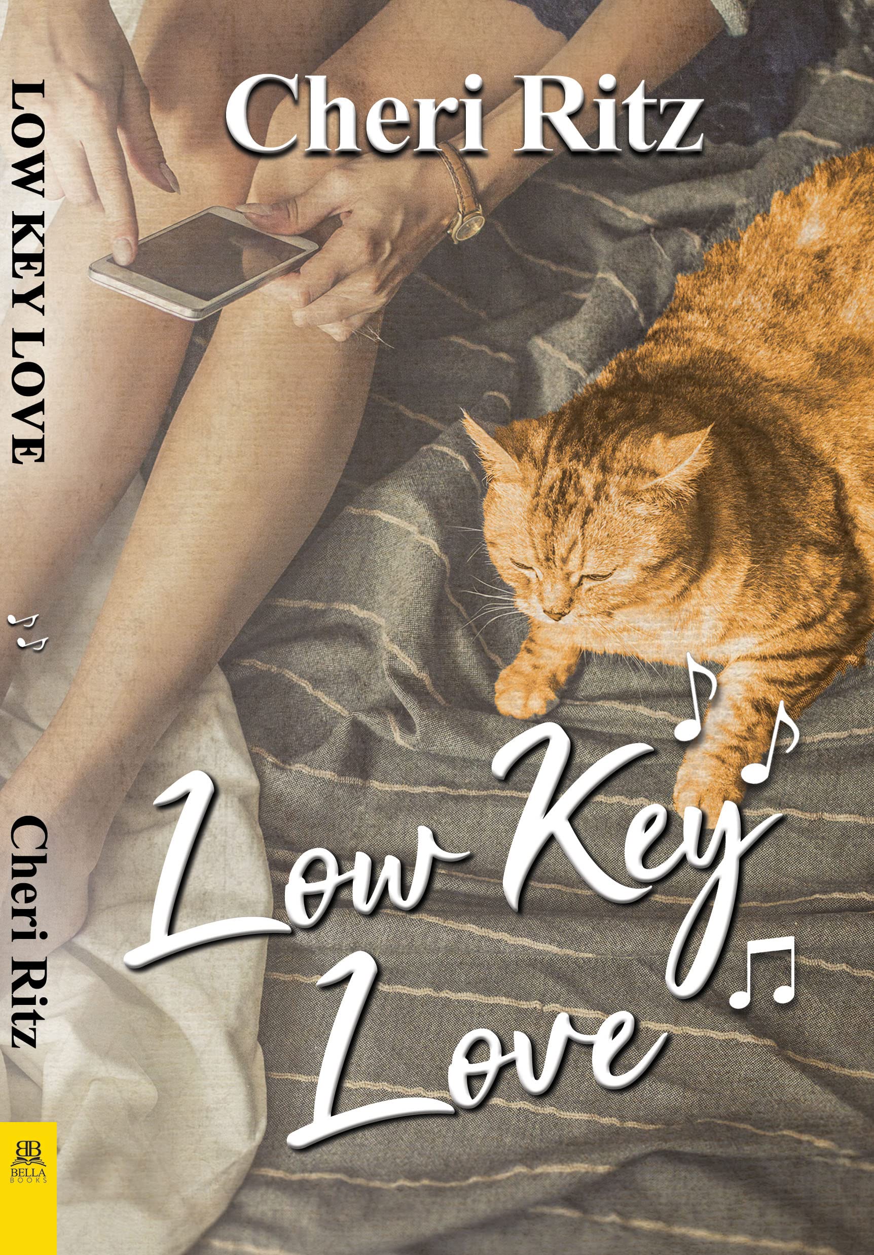Buy Low Key Love — BookShops.in