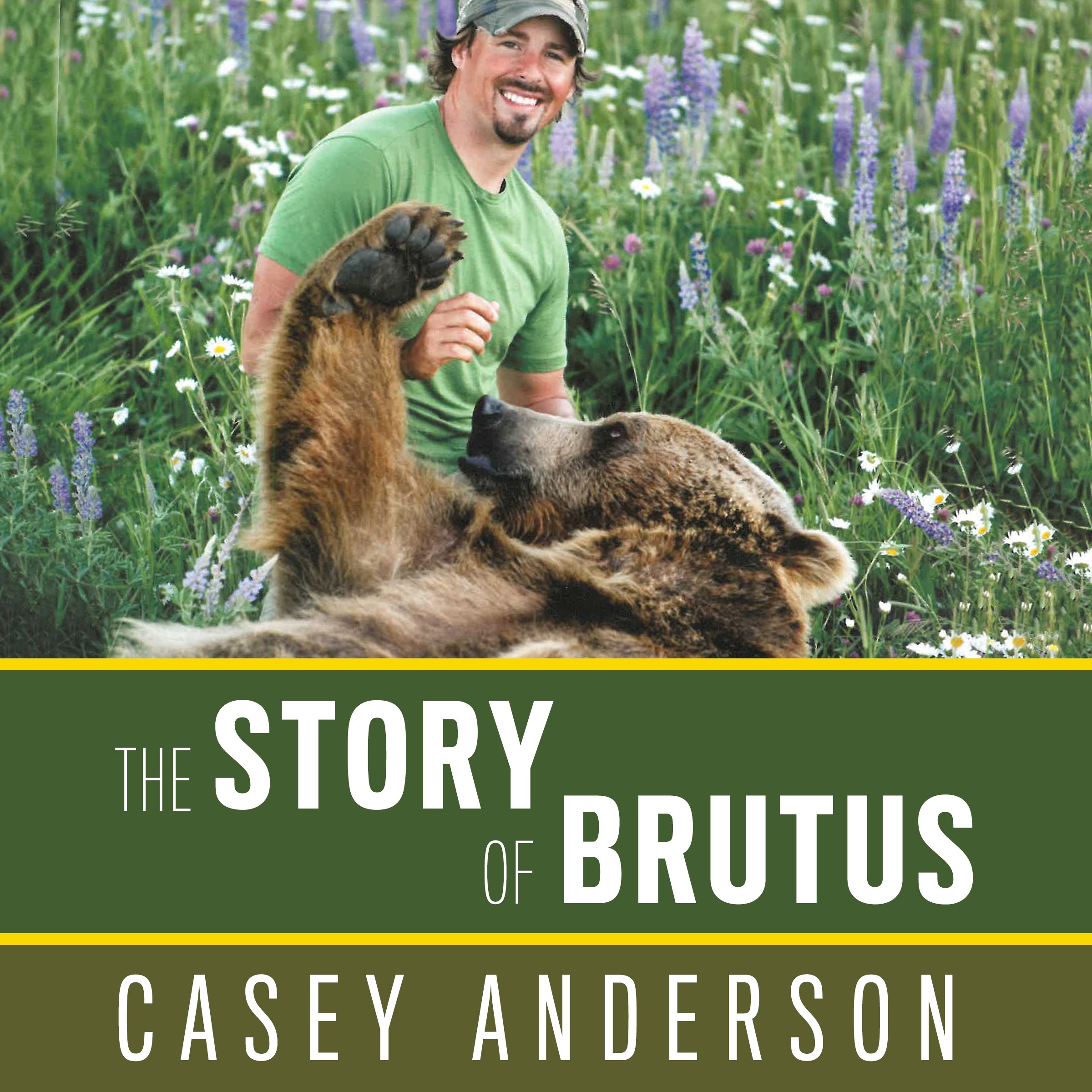 Cover art for The Story of Brutus